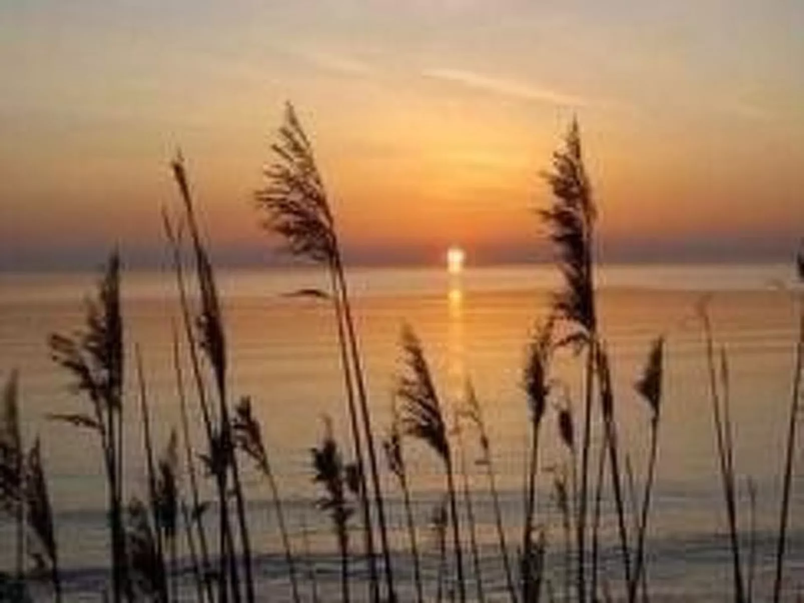 Gemütliches Ferienhaus Sjöstugan am Meer-Buiten