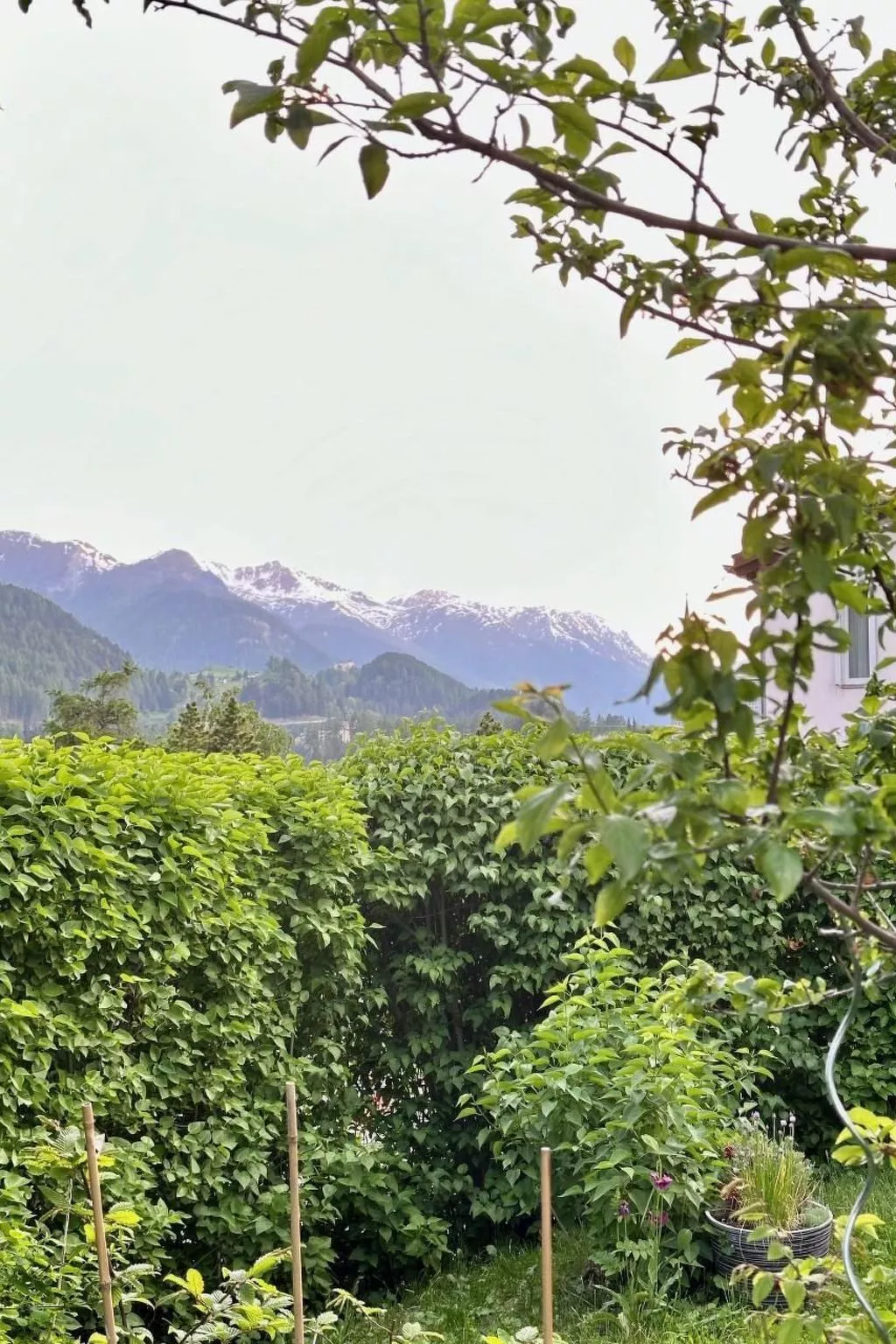 Chasa Stefania-Image-tags.info