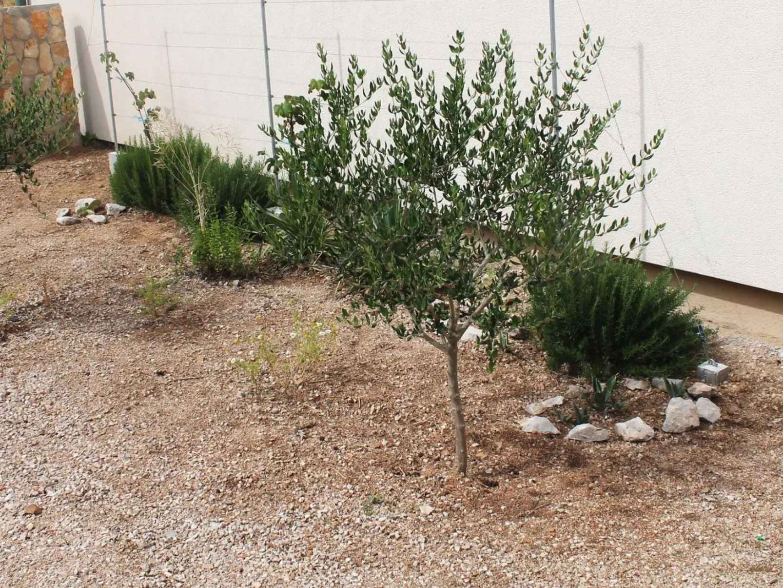 "Gubo2" mit Blick auf das Wasser-Image-tags.info