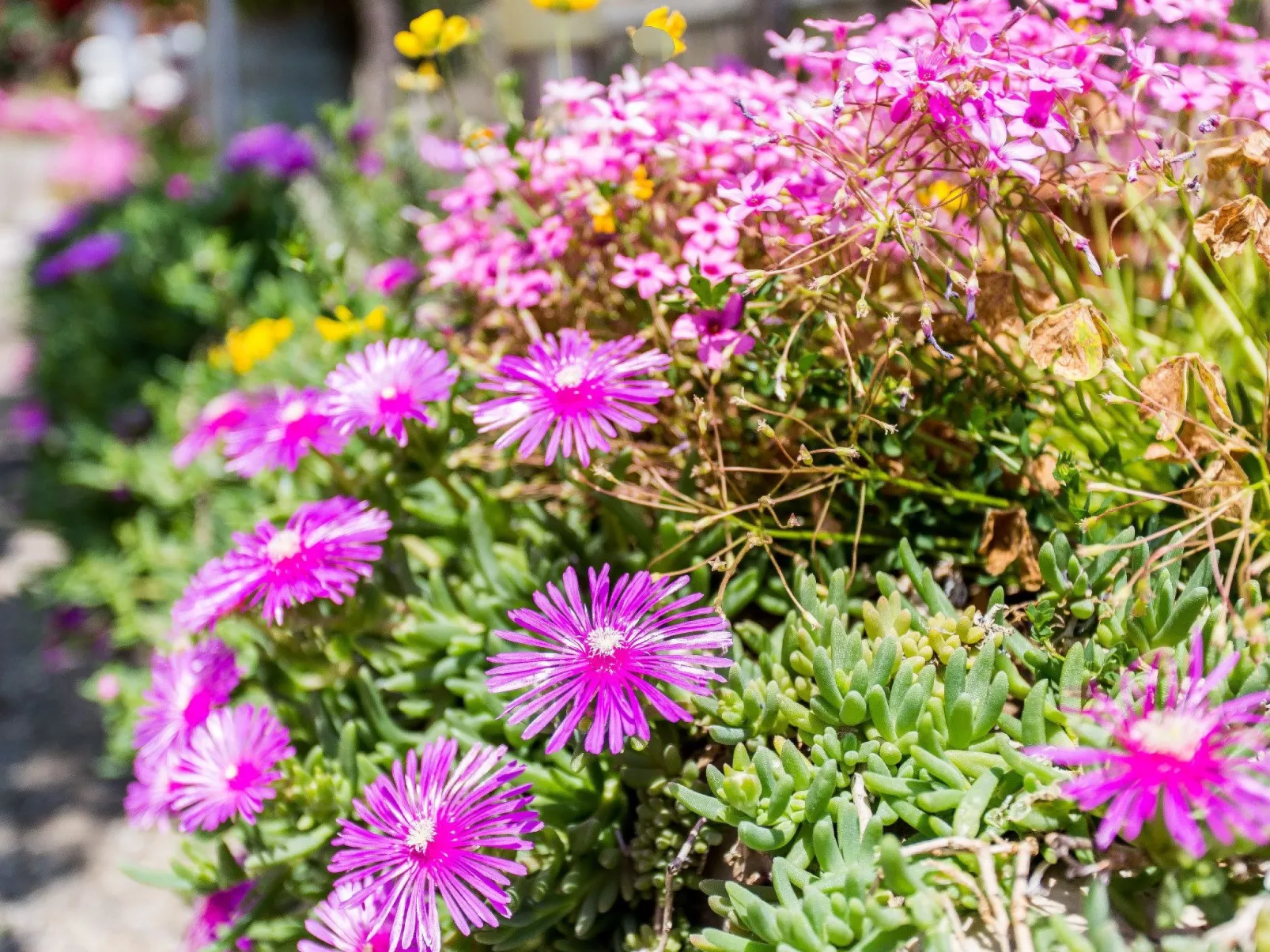 Moderne Wohnung Grzetic-Buiten