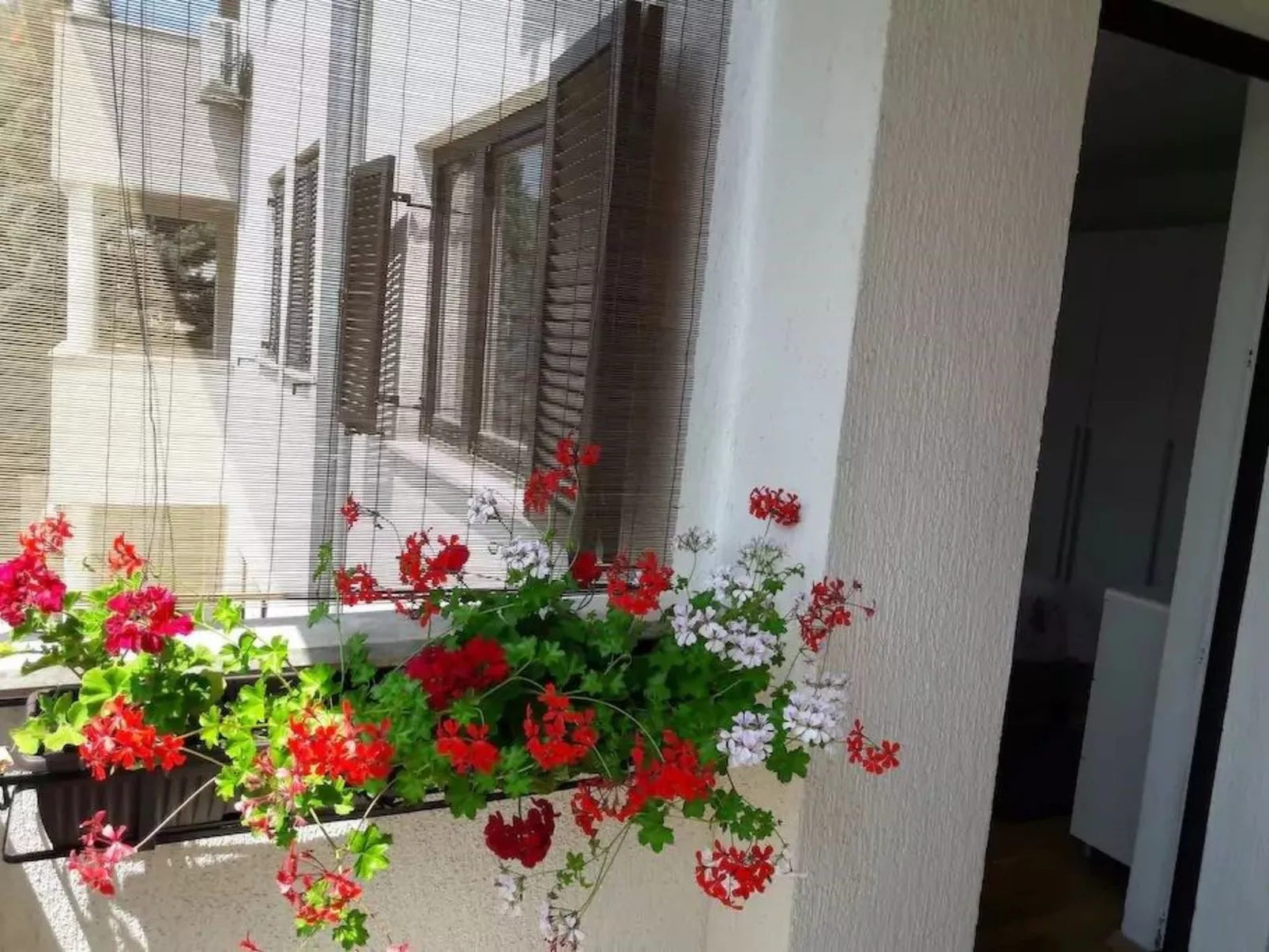 Wohnung mit Garten in der Nähe des Zentrums-Buiten