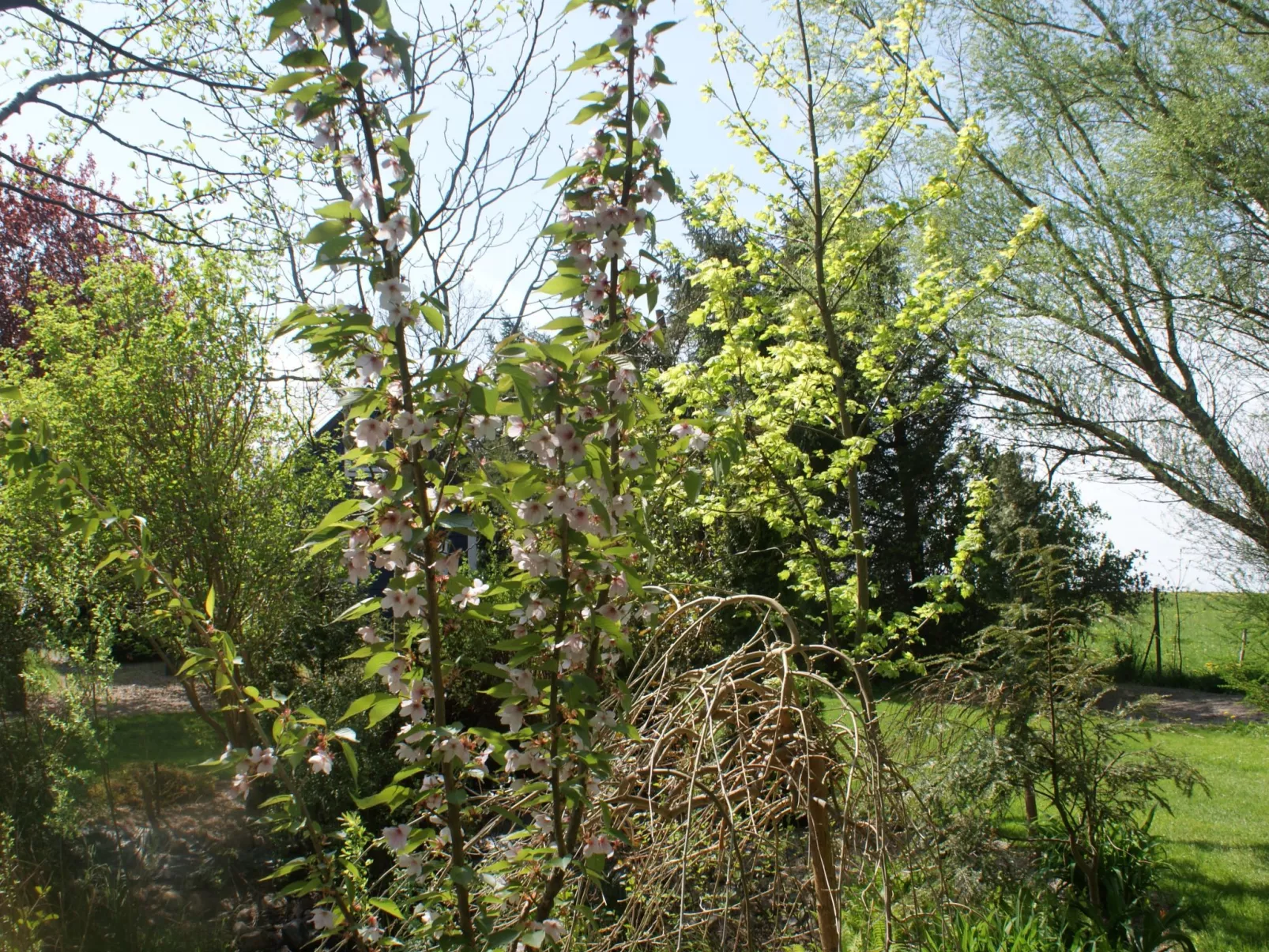 Ruhe am Meer - Ferienhäuser in den Gärten von Magra-Buiten