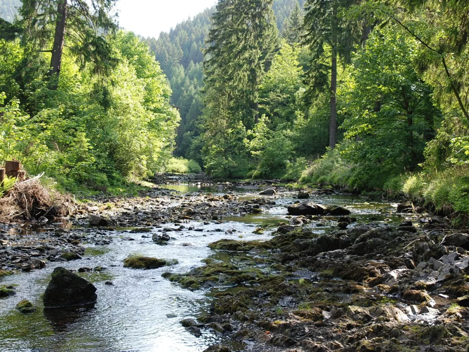Wohnung in Bad Harzburg mit Garten-Buiten