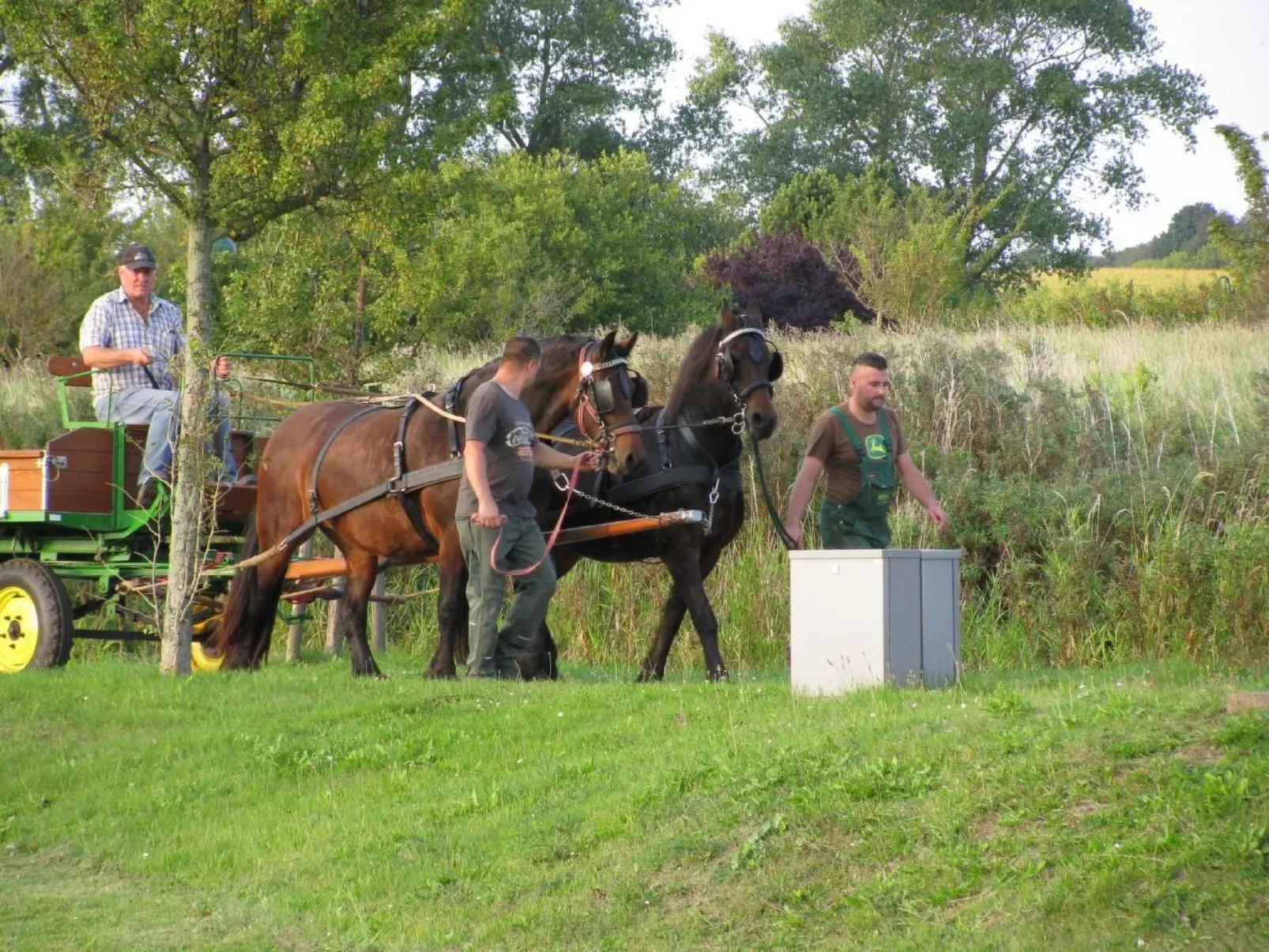 Ferienapartm.-ruegen-Image-tags.info