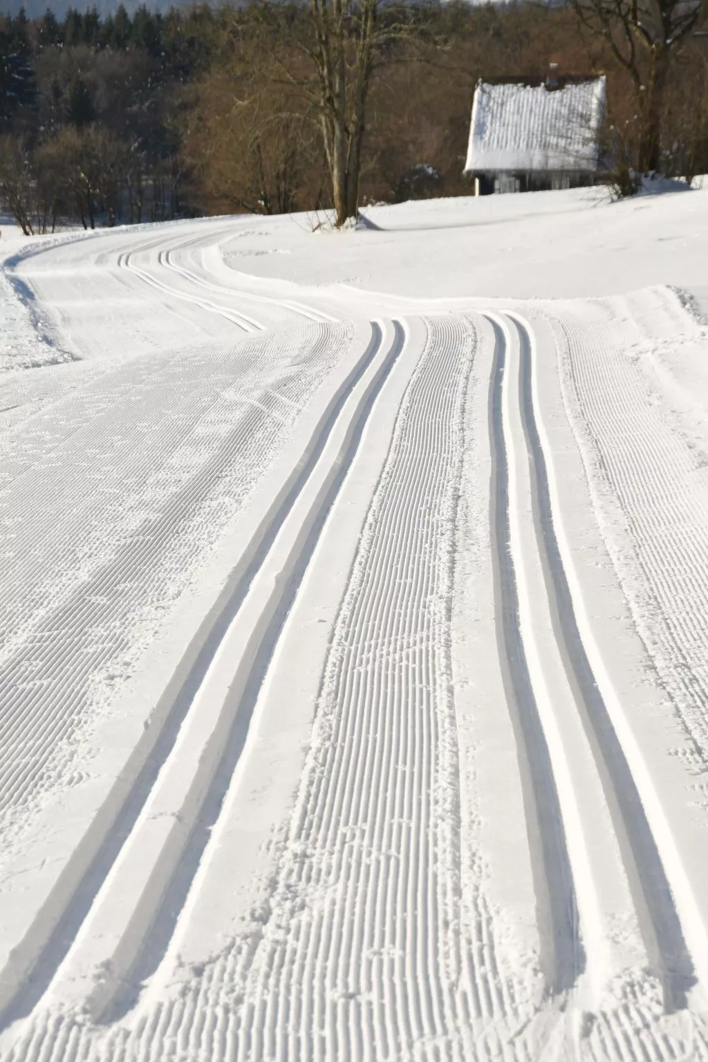 Wohnung in Hohegeiß mit Grill und Garten-Buiten