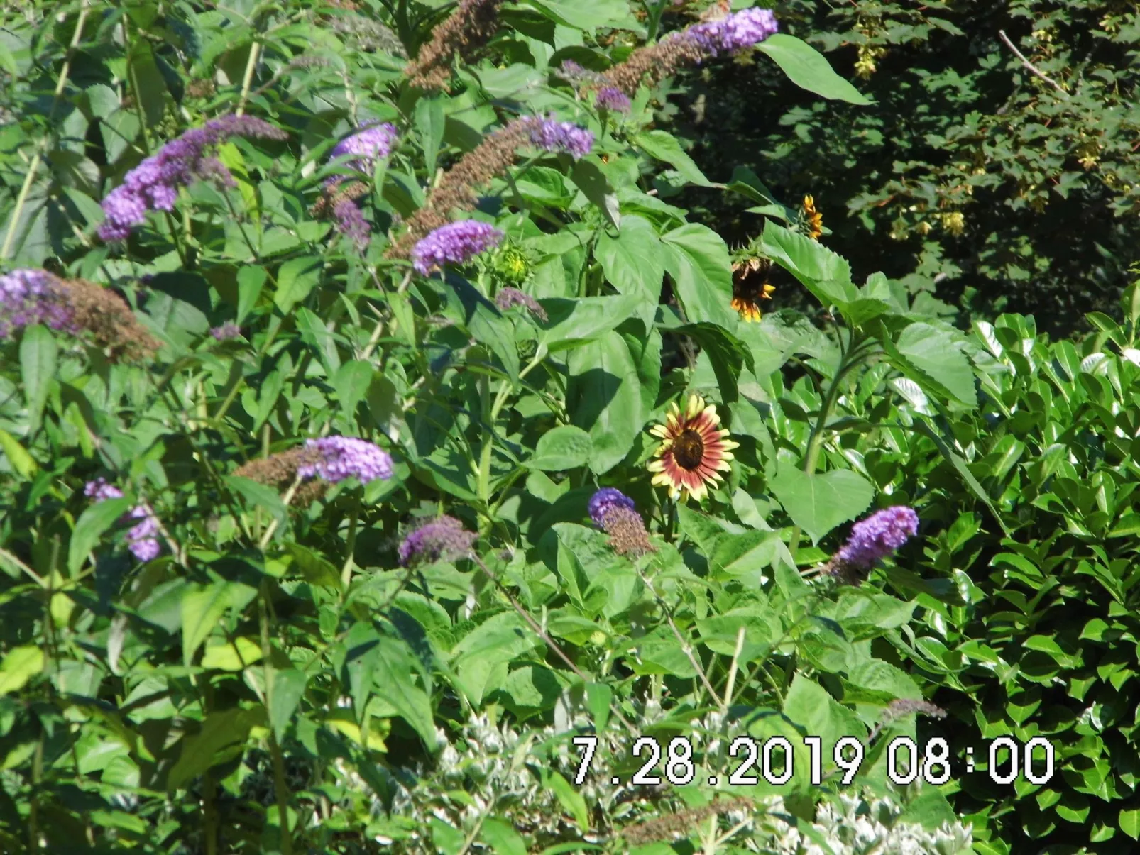 Am malerischen Nepperminer See-Buiten