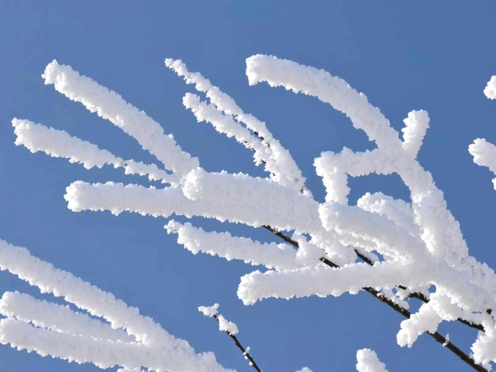 Mit herrlicher Aussicht in die Berge-Buiten
