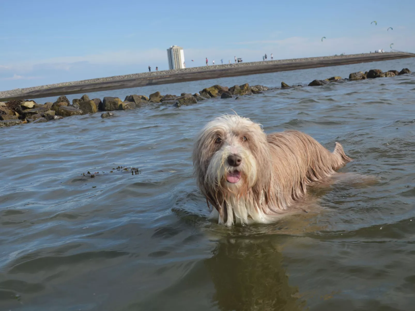 Gemütliche Ferienwohnung in Büsum-Buiten