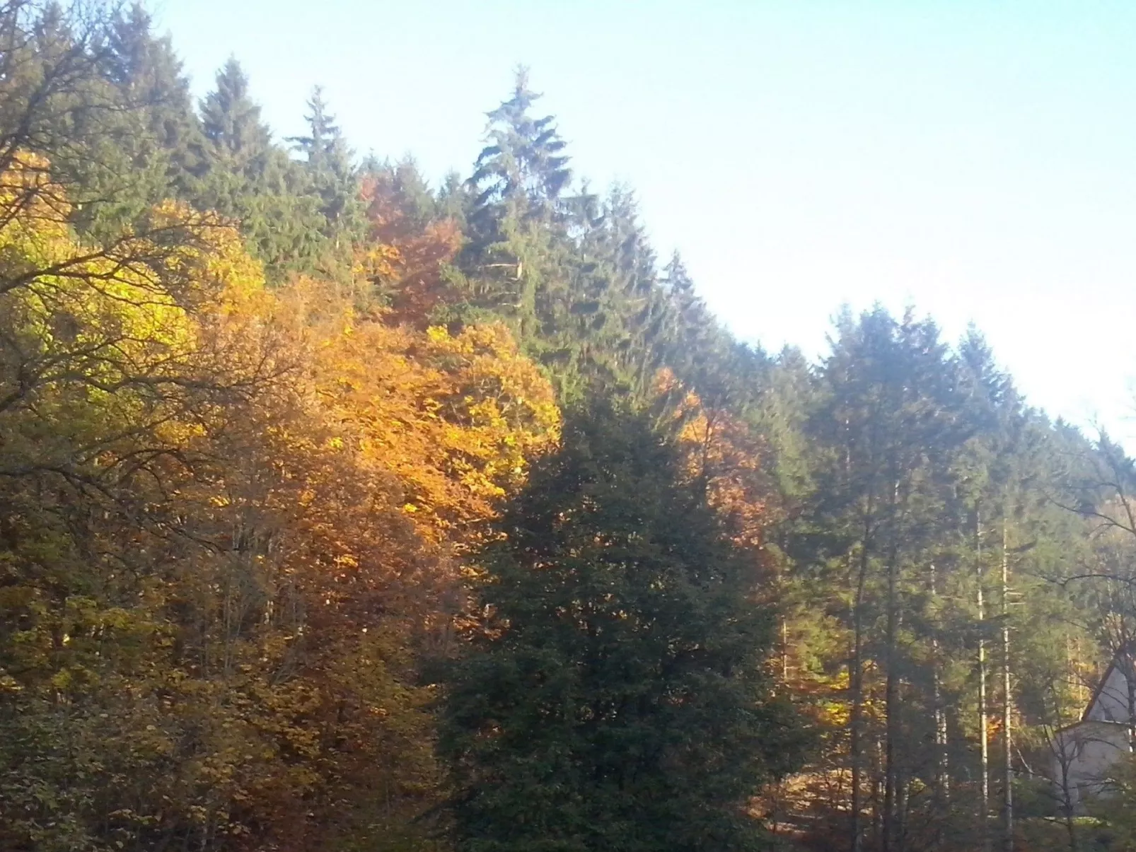 Appartement in Steina mit Terrasse - Buiten