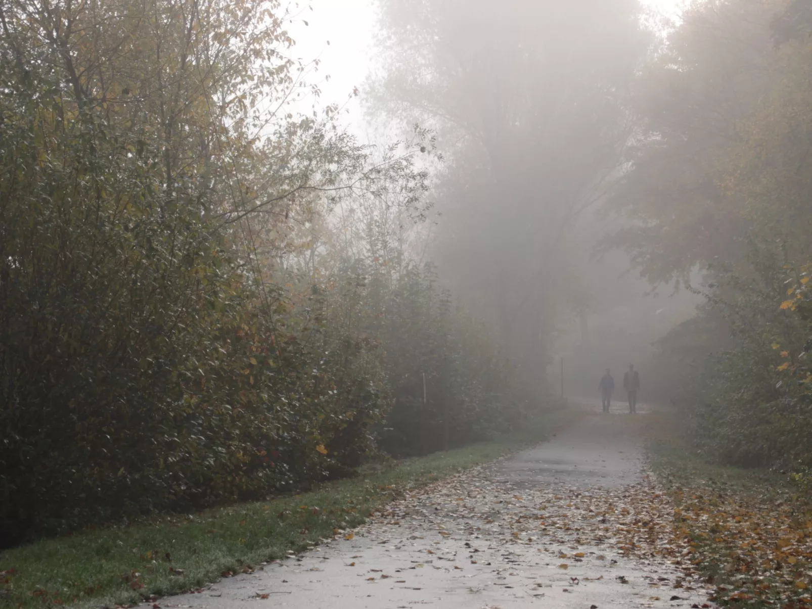BärenNest Haus-Buiten