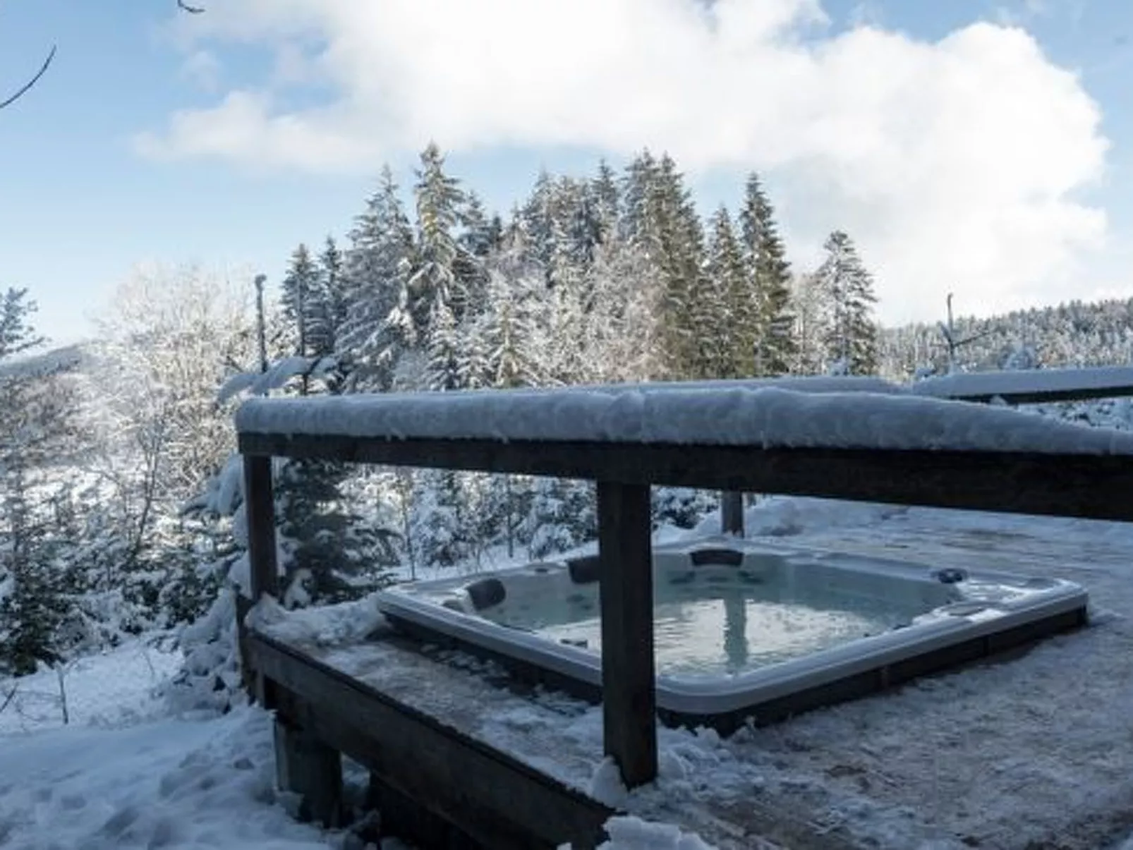 Luxuschalet - altes Bauernhaus mit private Spa-Buiten