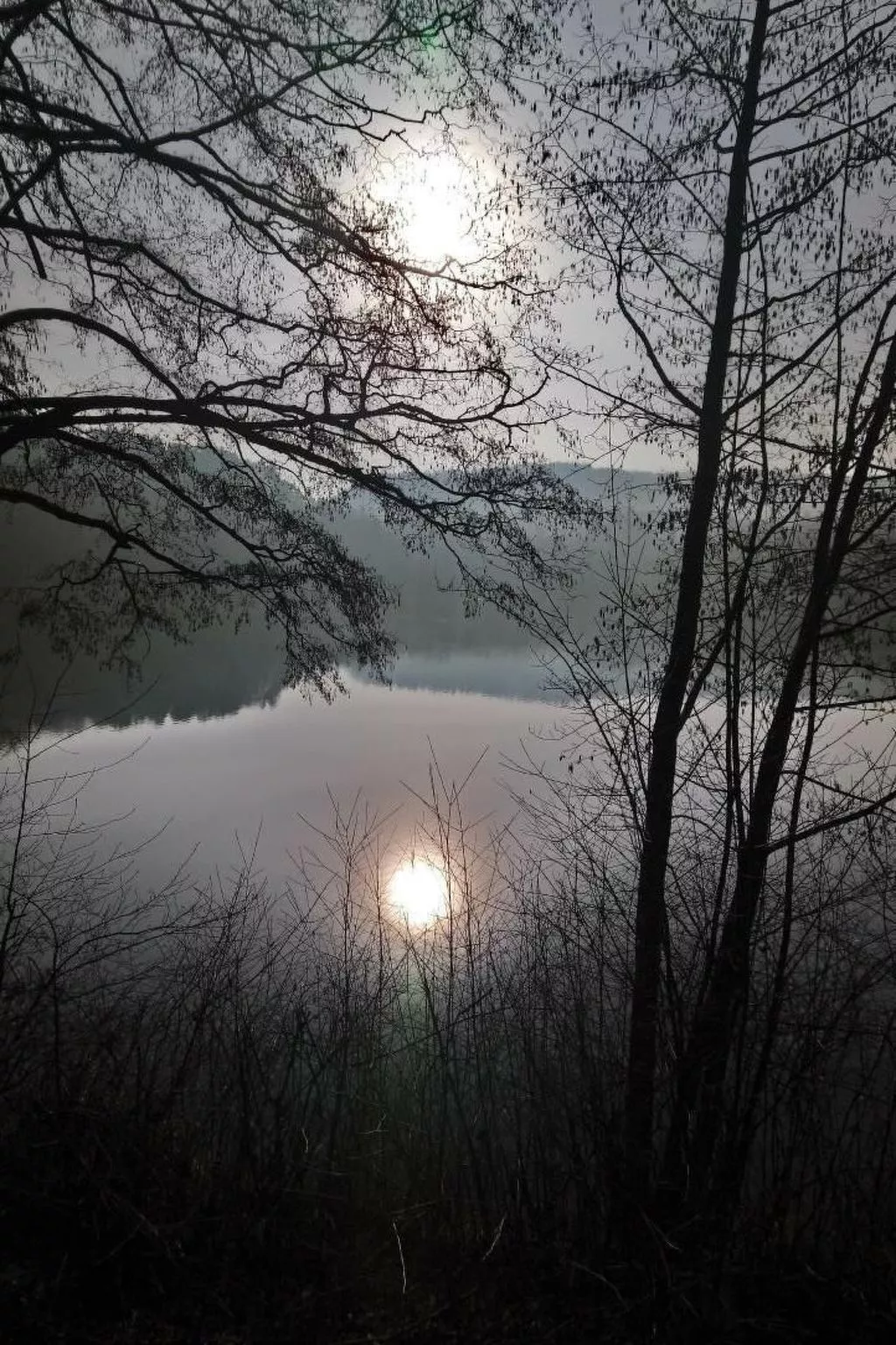 Waldhaus57 Silbersee-Buiten