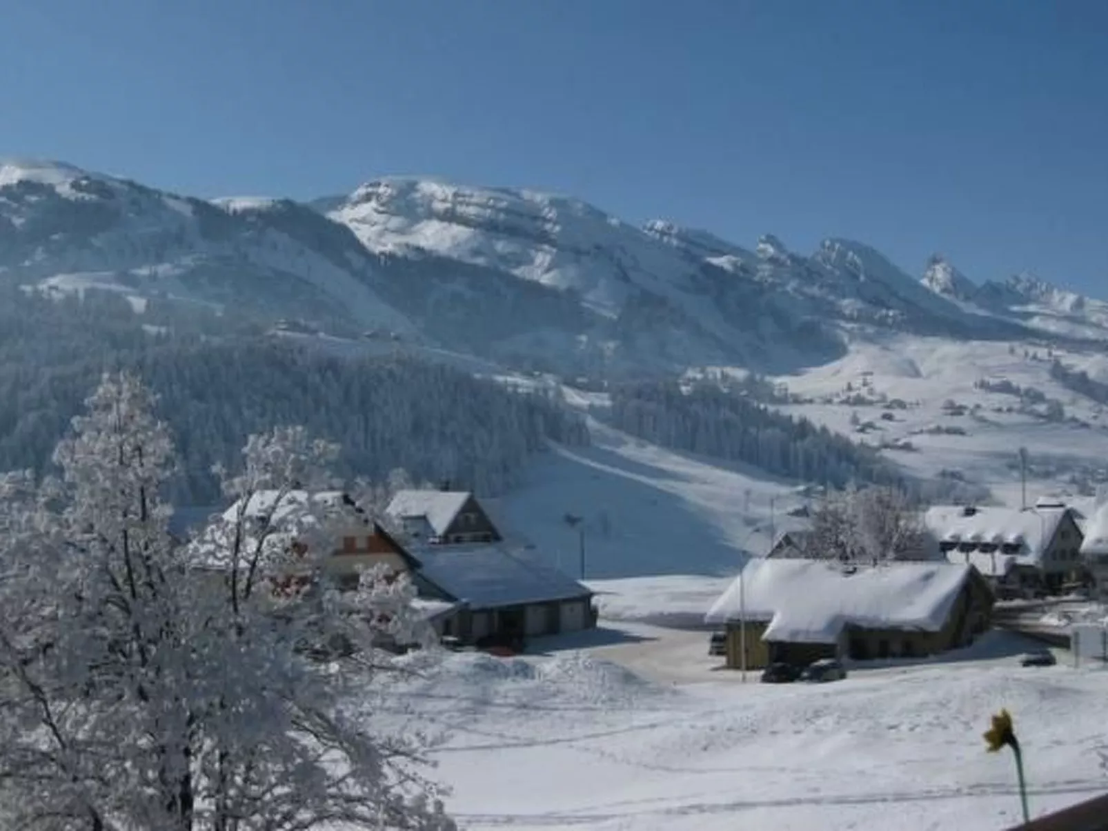 Casa Uccello-Image-tags.info