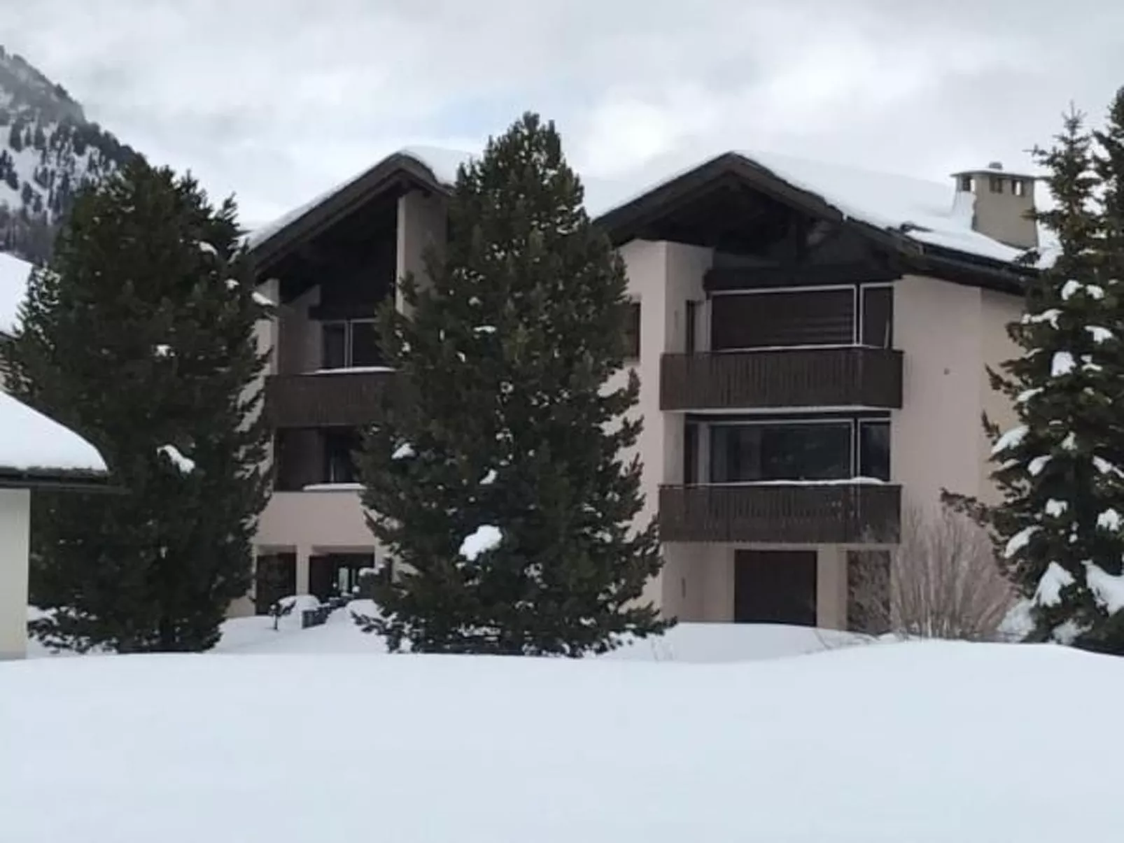 Chesa Arnica 3-Image-tags.info