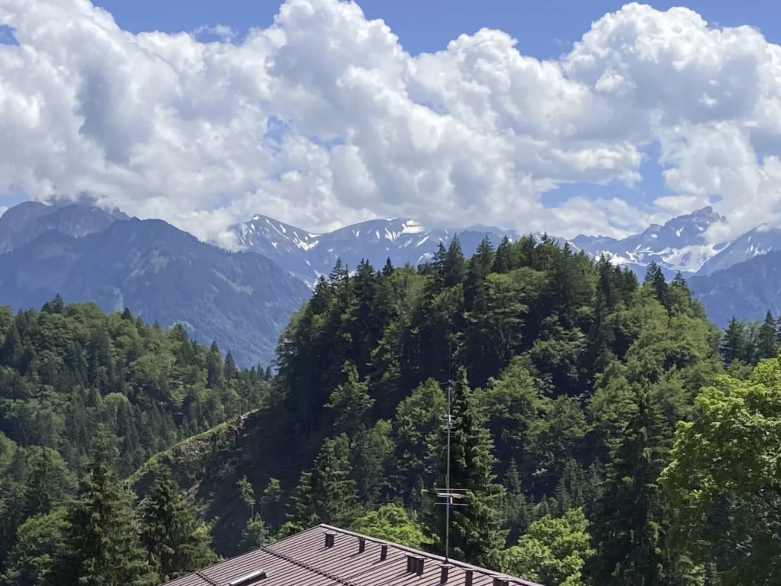 Falkenhorst Wh 25-Buiten