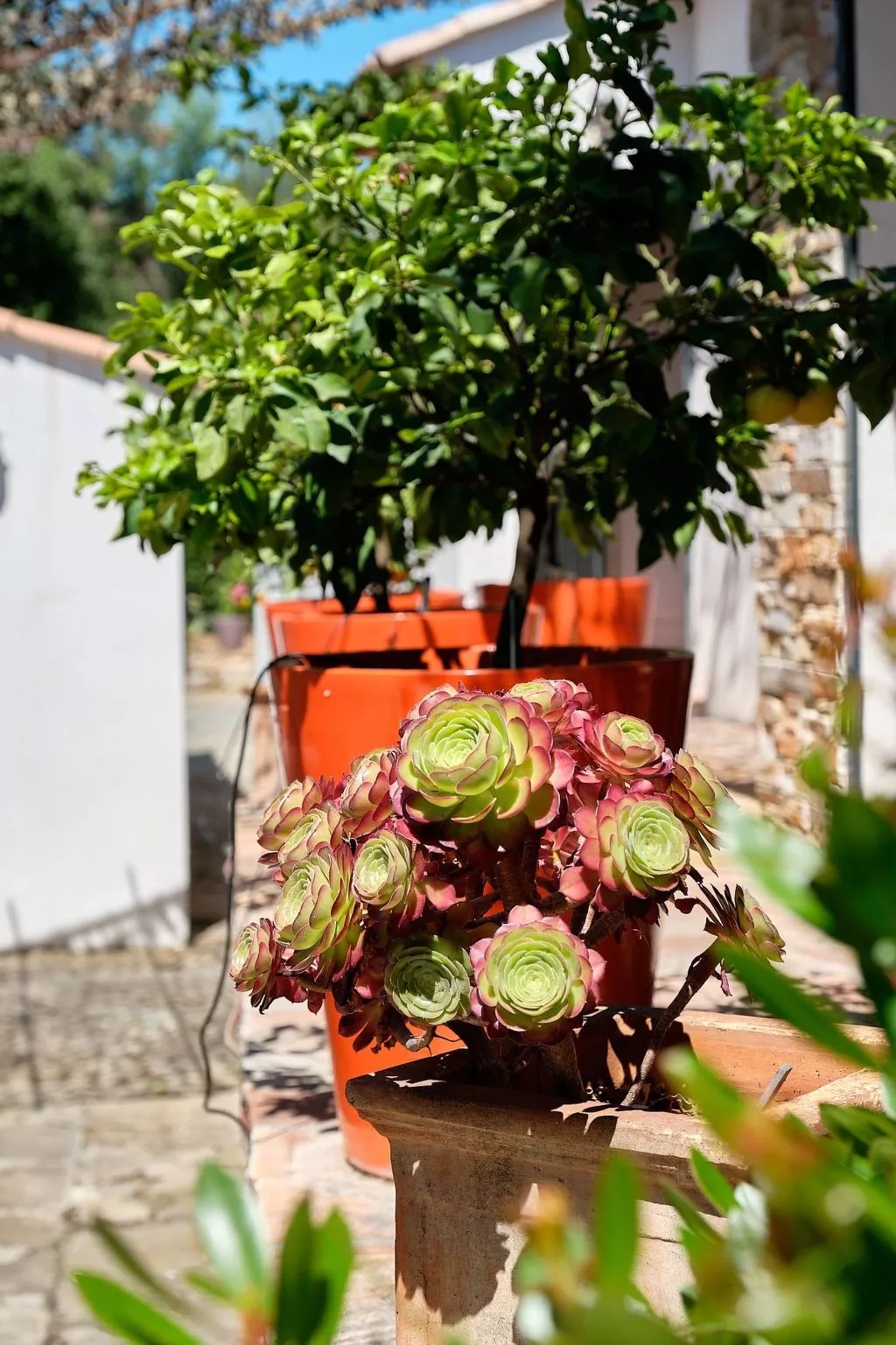 Herrliche Villa mit Meerblick, Pool, 400m vom Meer entfernt-Binnen