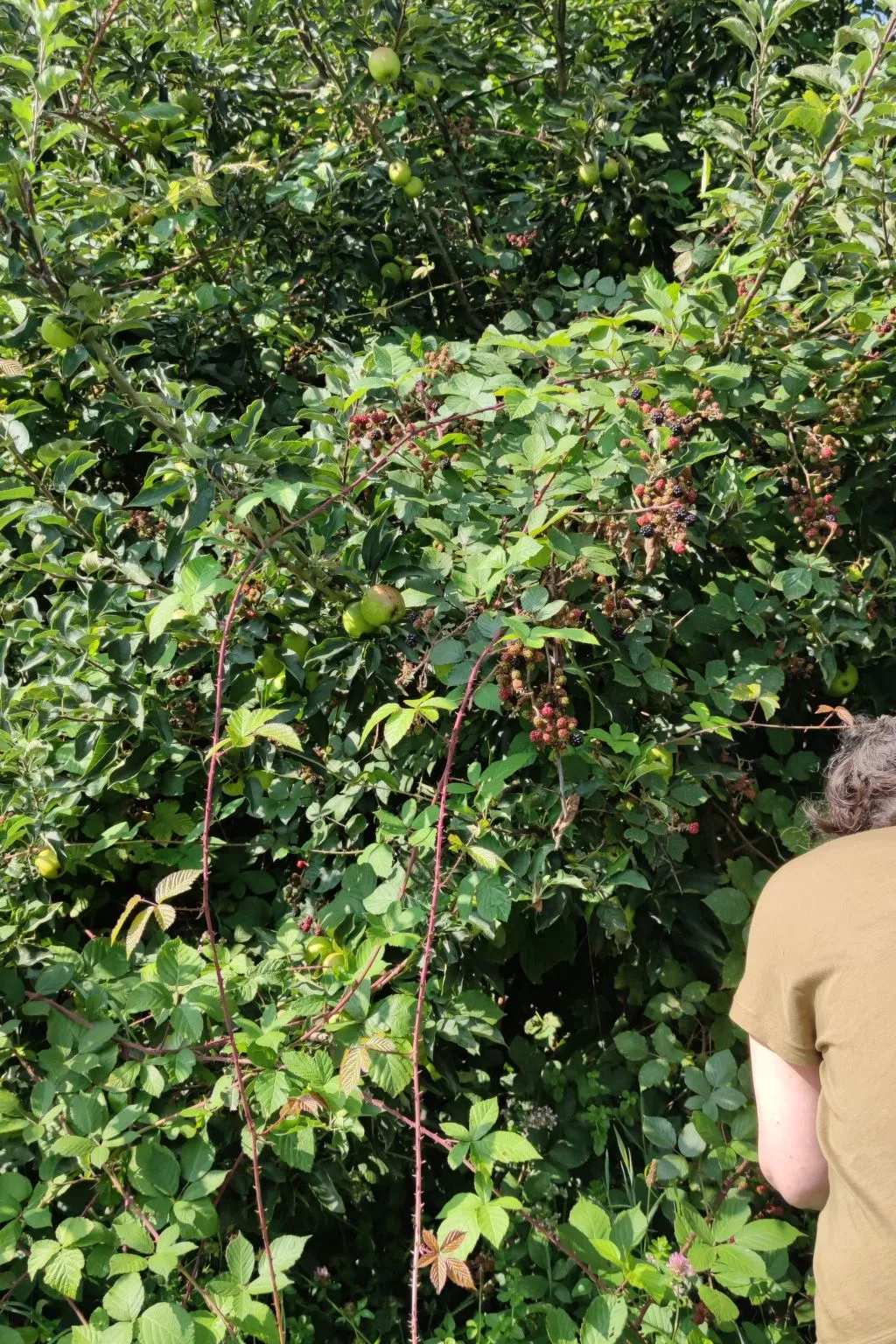 Gesellige Momente in der Nähe von Disneyland Paris-Image-tags.info