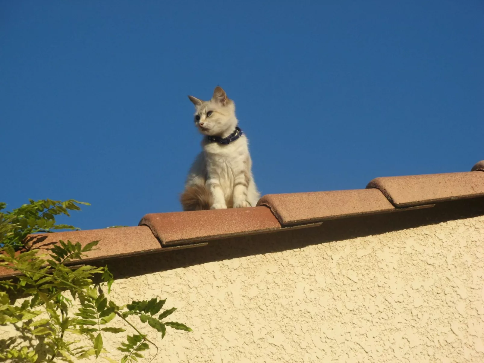 À l'abri du Mistral-Buiten