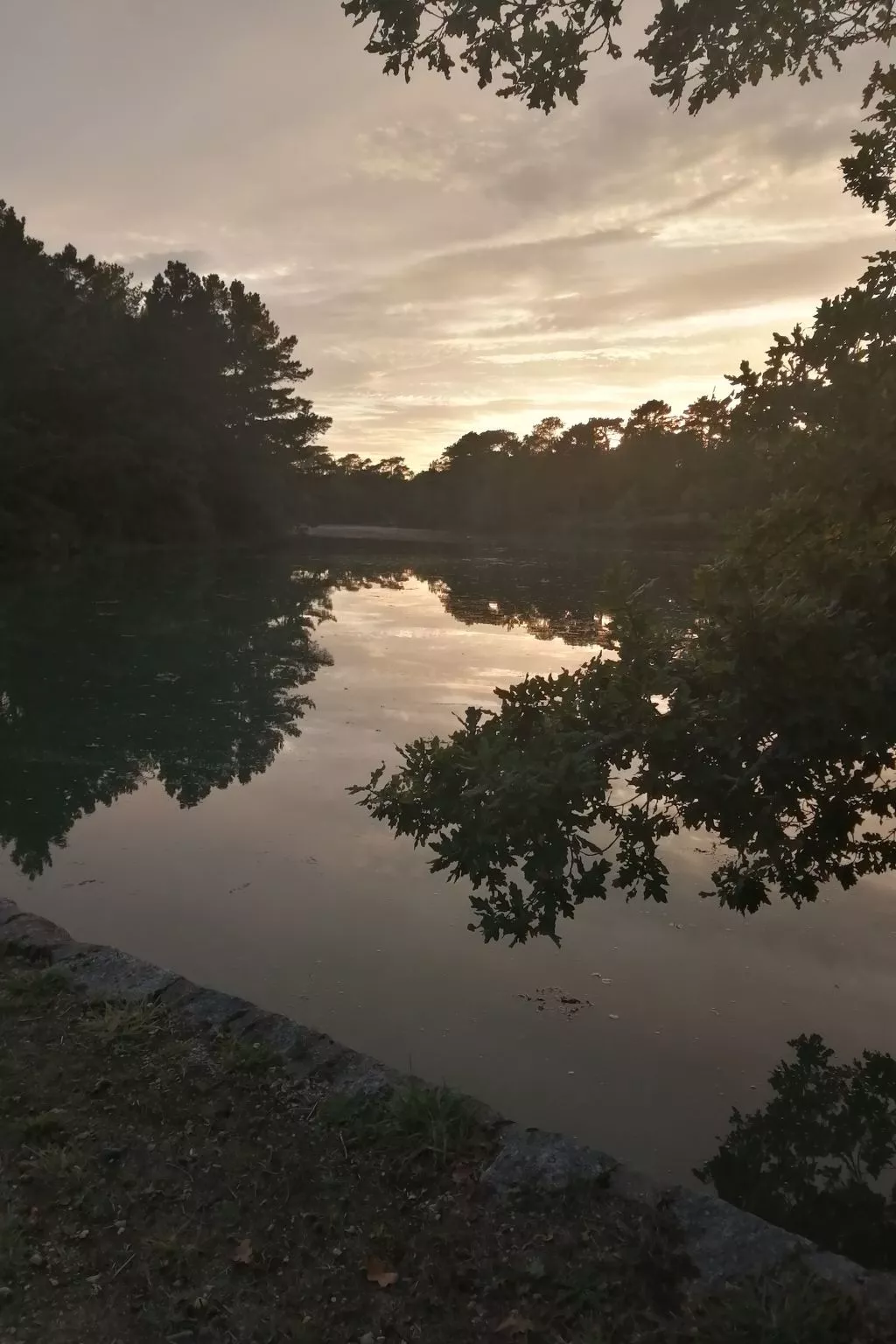 Bretagne Loctudy Haus Les Camélias 3 Personen-Image-tags.info