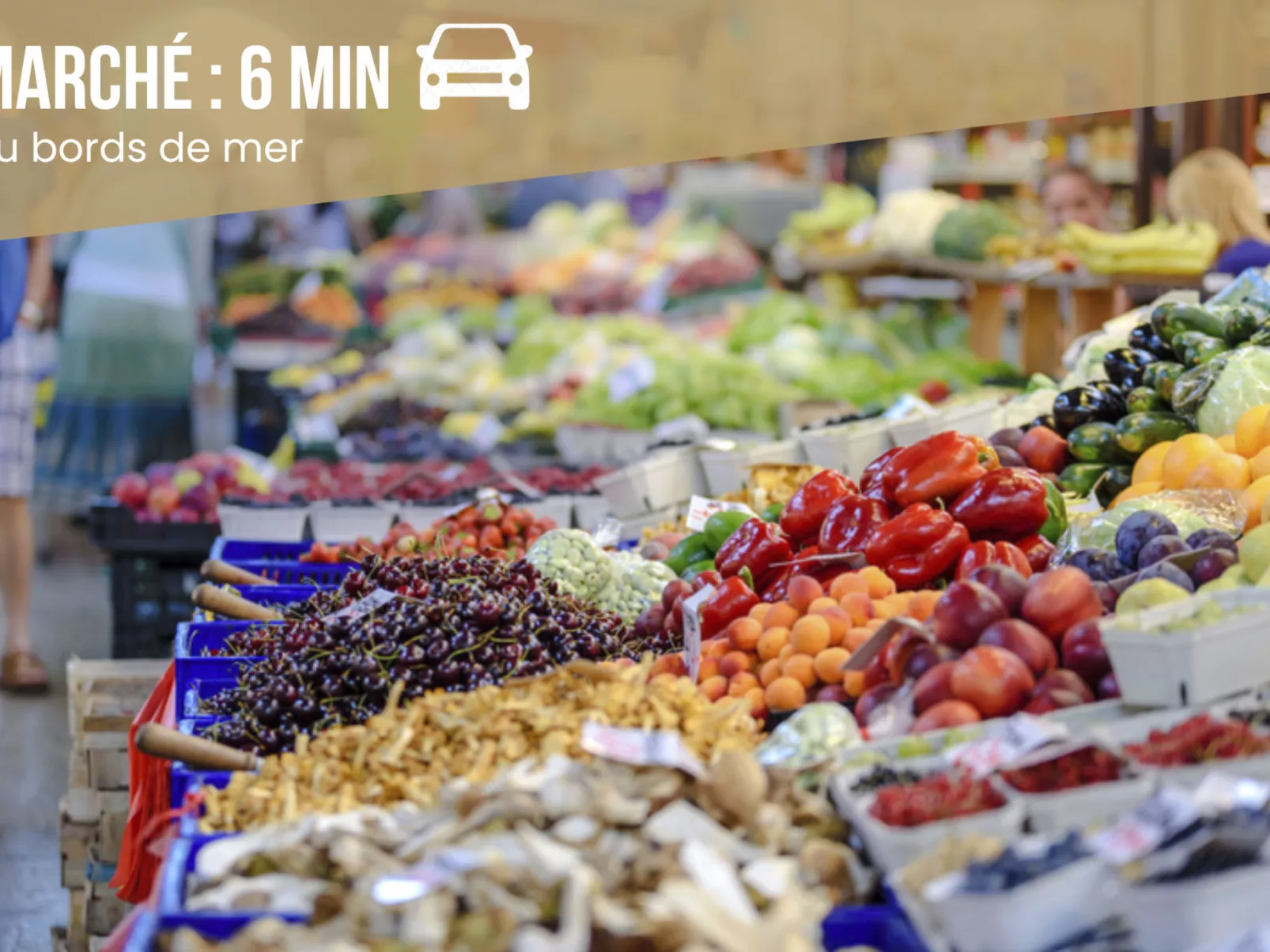 Dreamy Lodge - Genuss, Strand in 100m-Image-tags.info