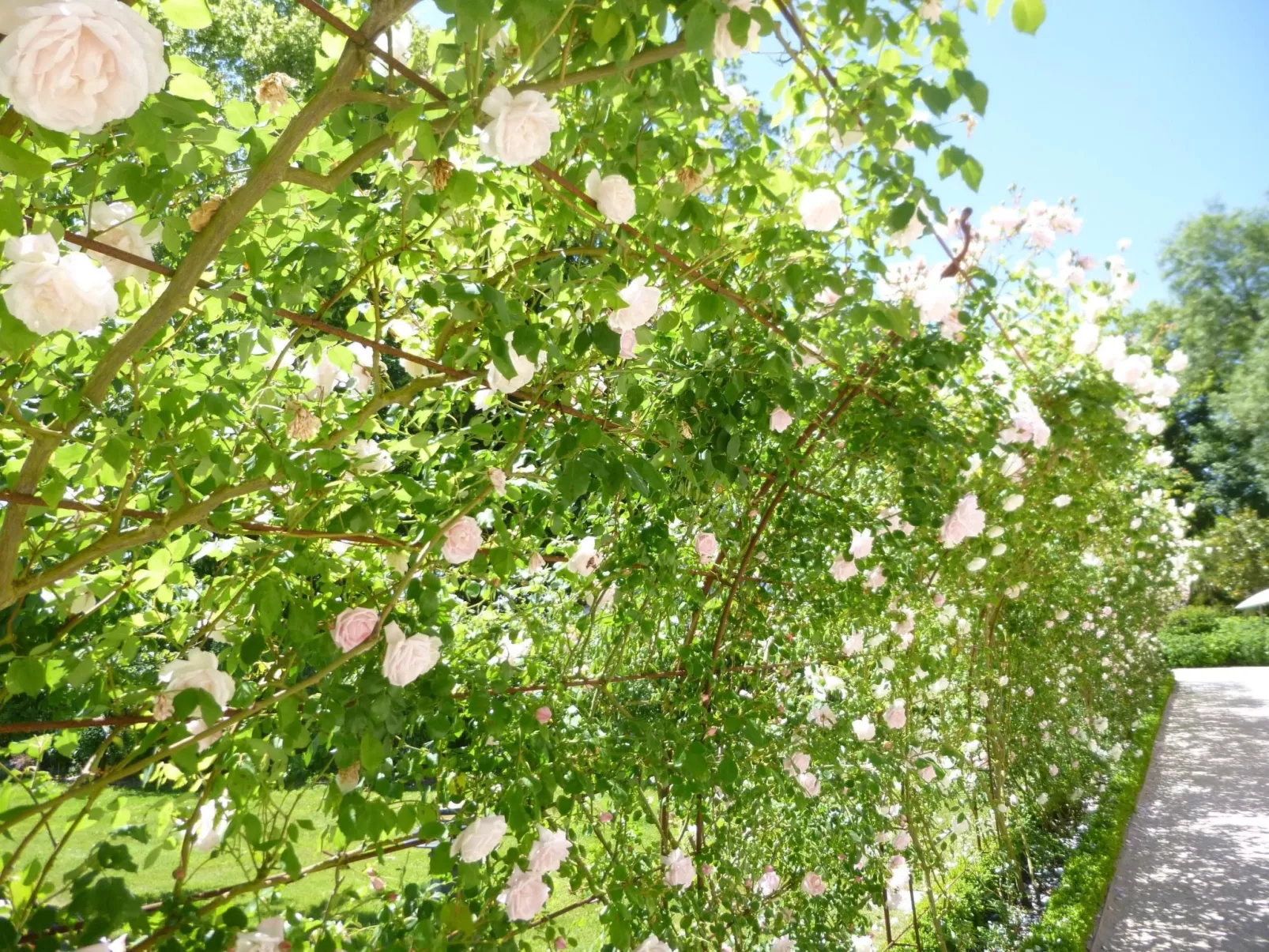 Fachwerkhaus "gitealienor perigord"-Buiten