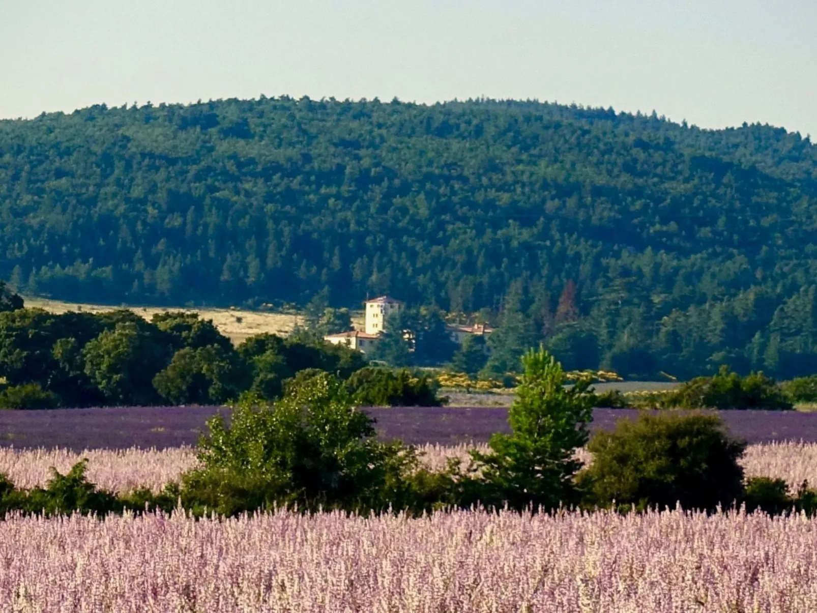 Genießen Sie die Ruhe und den Frieden der Provence-Image-tags.info