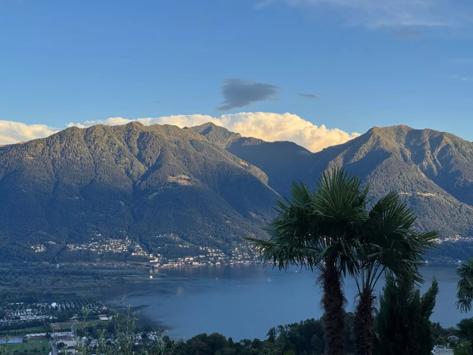 La Camelina - Contra-Buiten