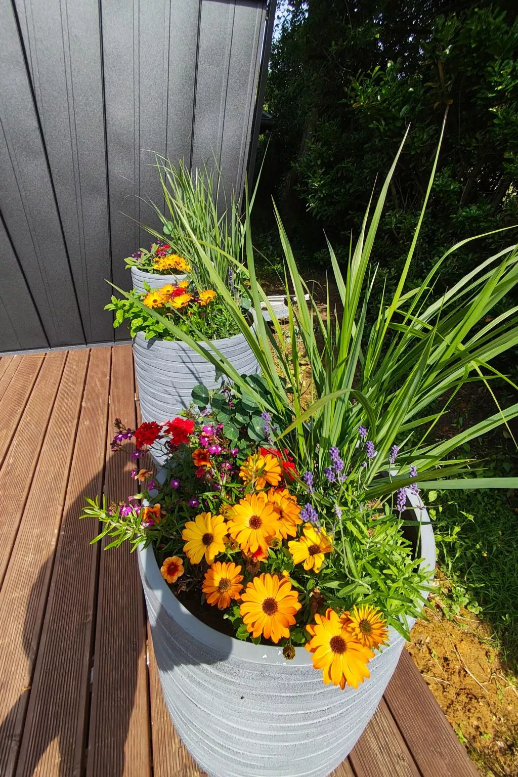 Tiny House Sundancer-Buiten