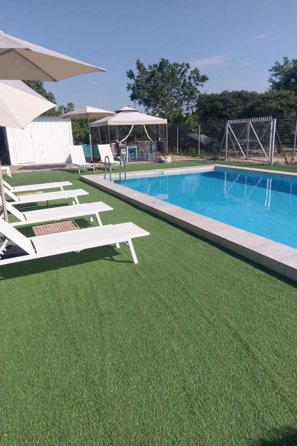 Neben Orangenbaum-Obstgarten-Buiten