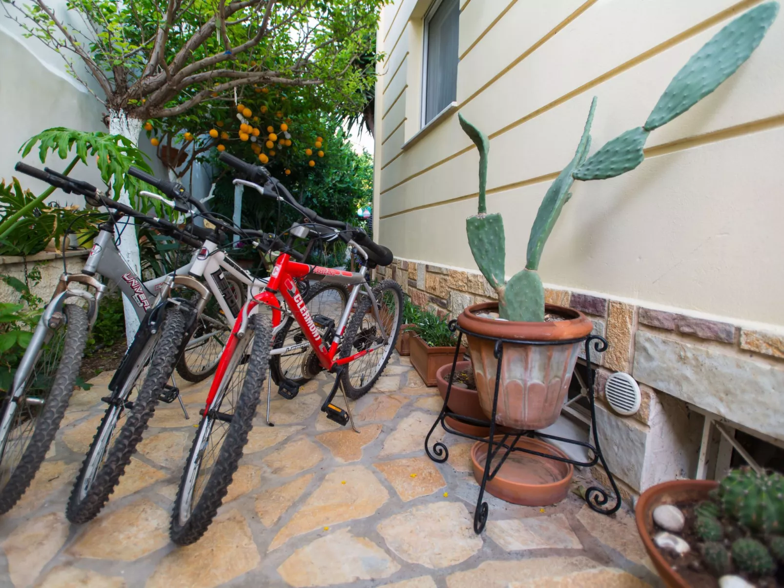 Diamante beachfront suite B-Buiten