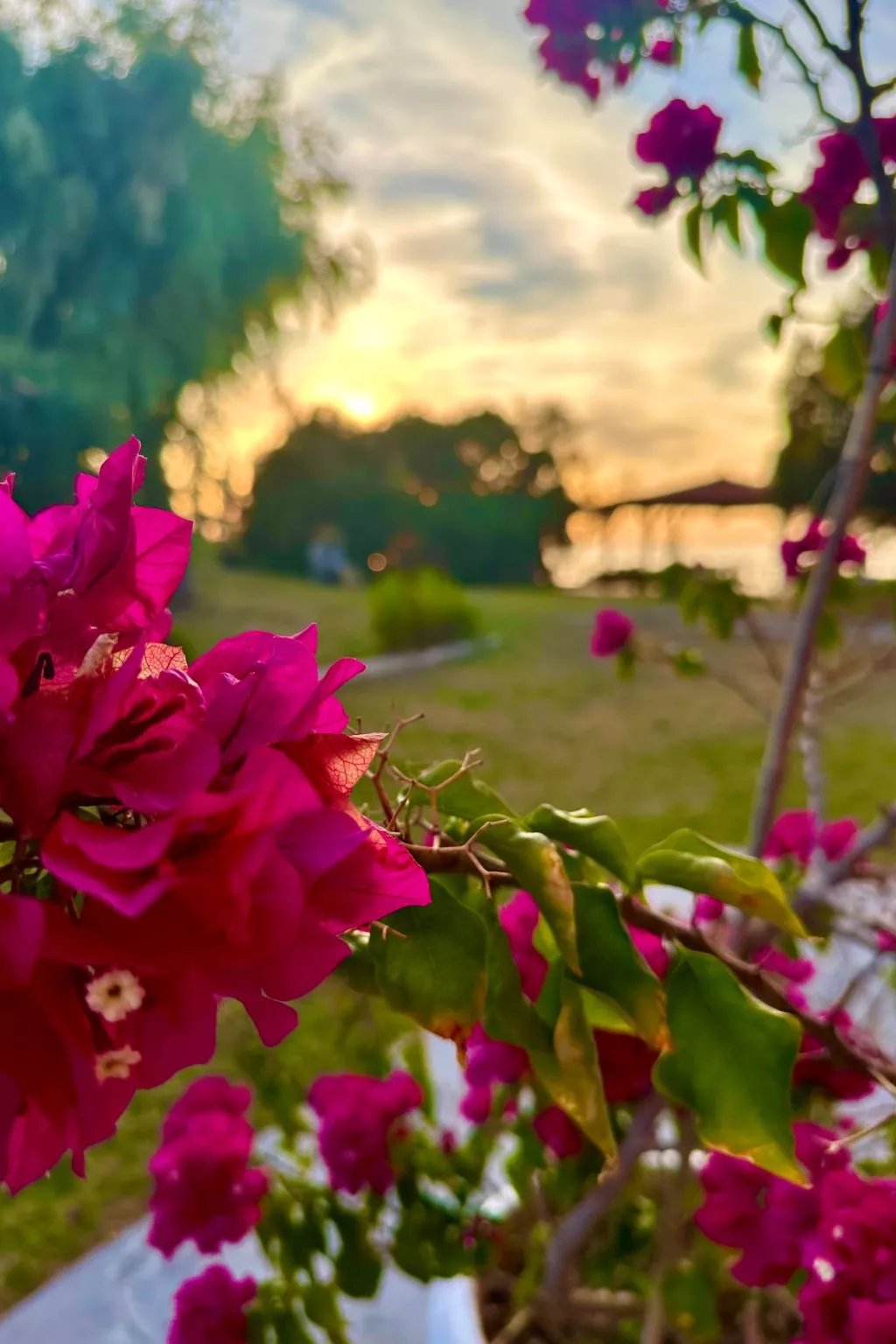 Familienrückzug mit Meerblick in den Genari Apartments-Image-tags.info