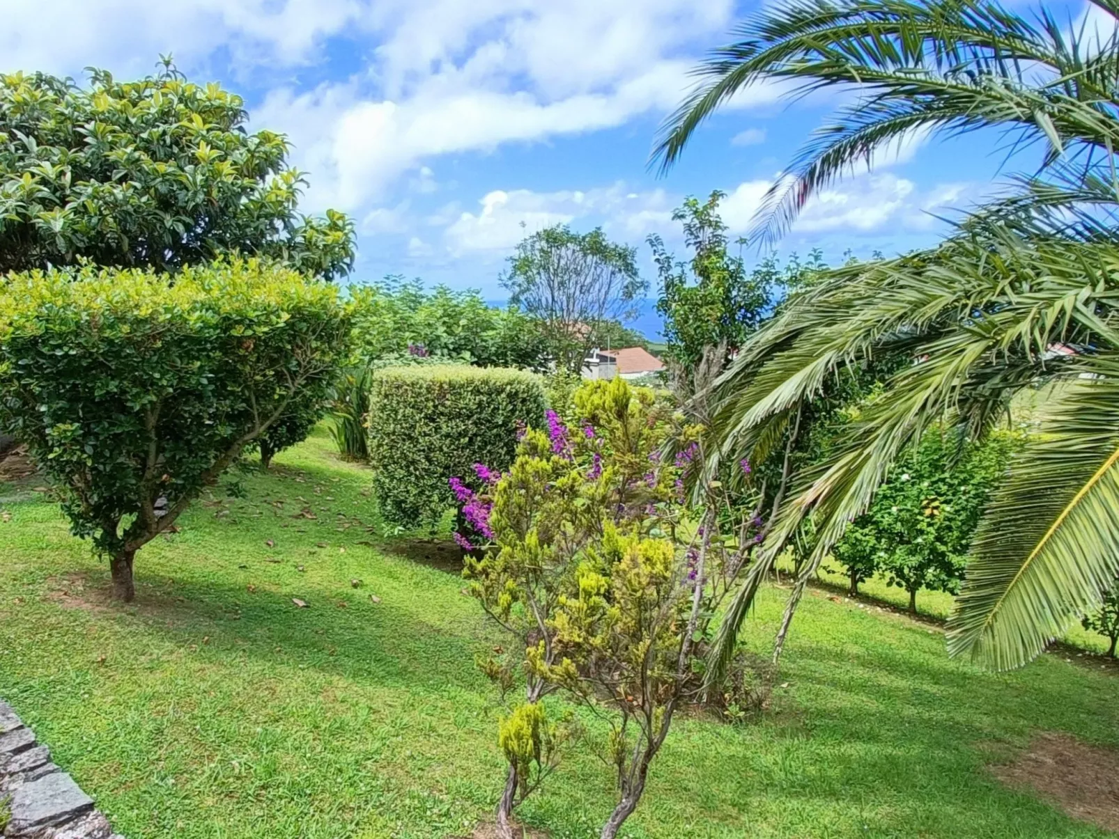 Casa da Talha, Rustikaler Charme auf den Azoren-Buiten
