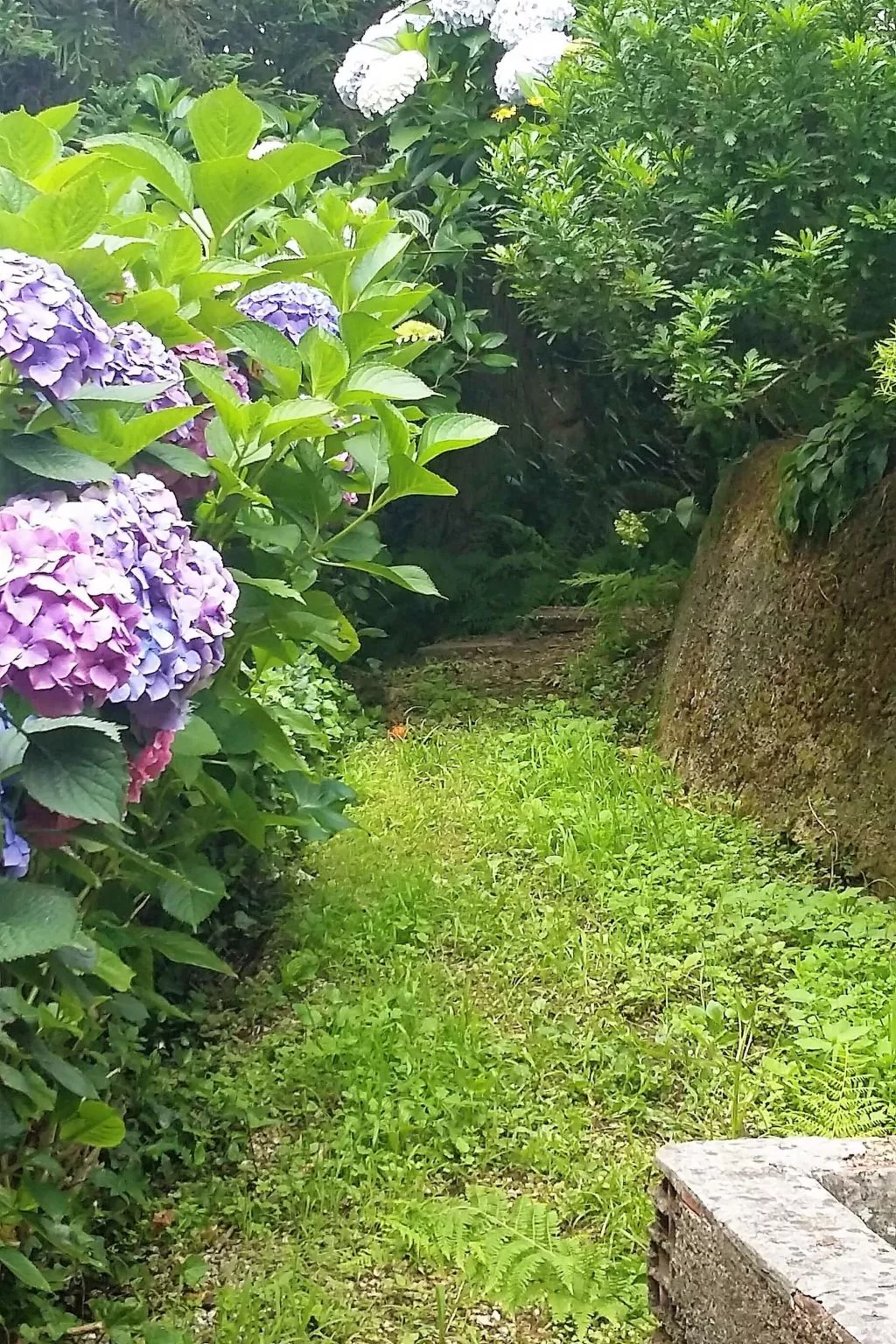 Quinta D'Avó Amélia, wunderschönes Landhaus zwischen den Bergen und dem Meer-Buiten