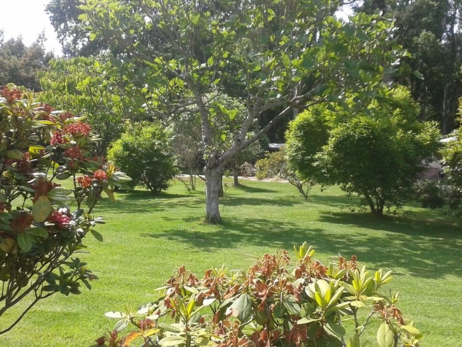 Chalet "gite du bois d'amour" (Hütte des Liebesh-Buiten