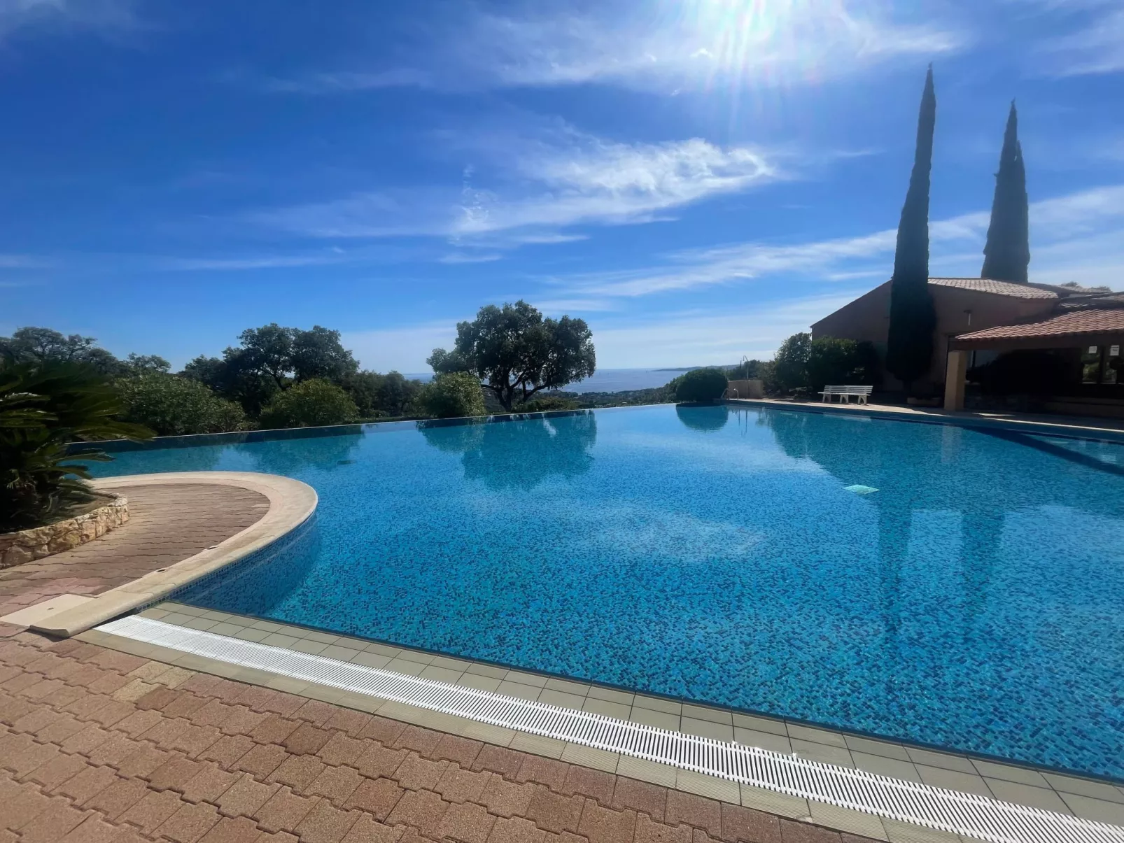 Les Palmiers-Image-tags.info