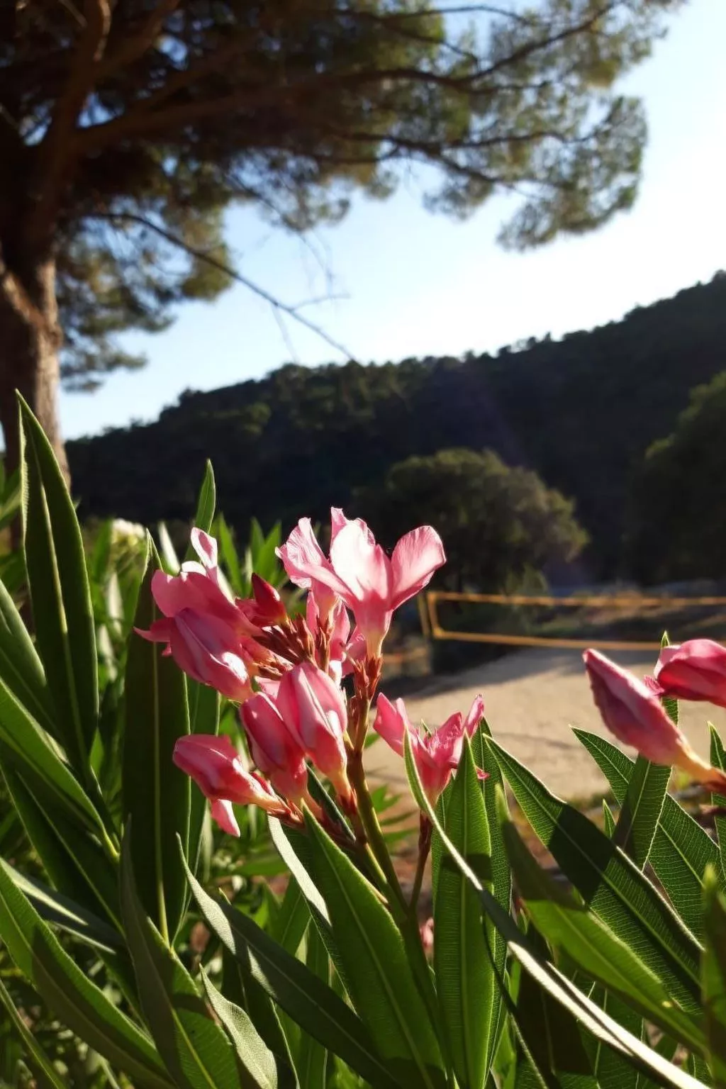 1.5 Zimmerhaus-Buiten