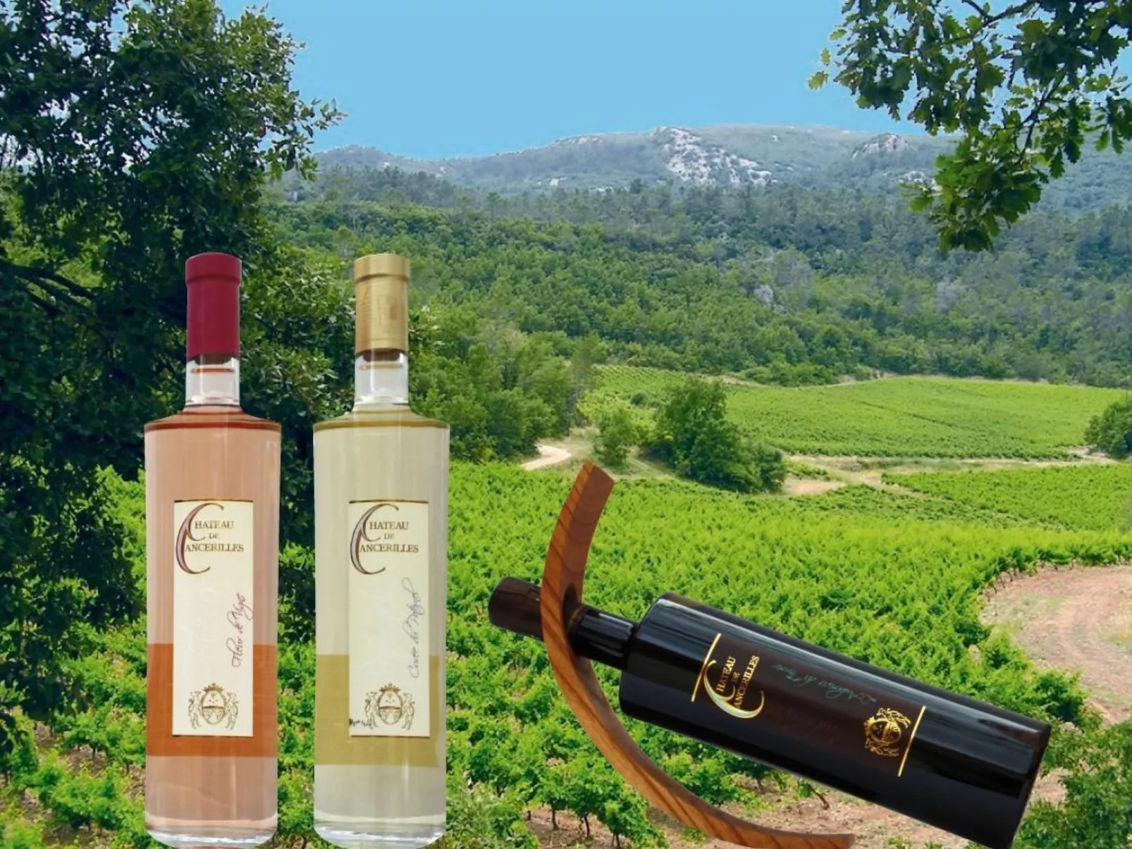 Wohnung in charmantem Haus auf Domäne-Buiten