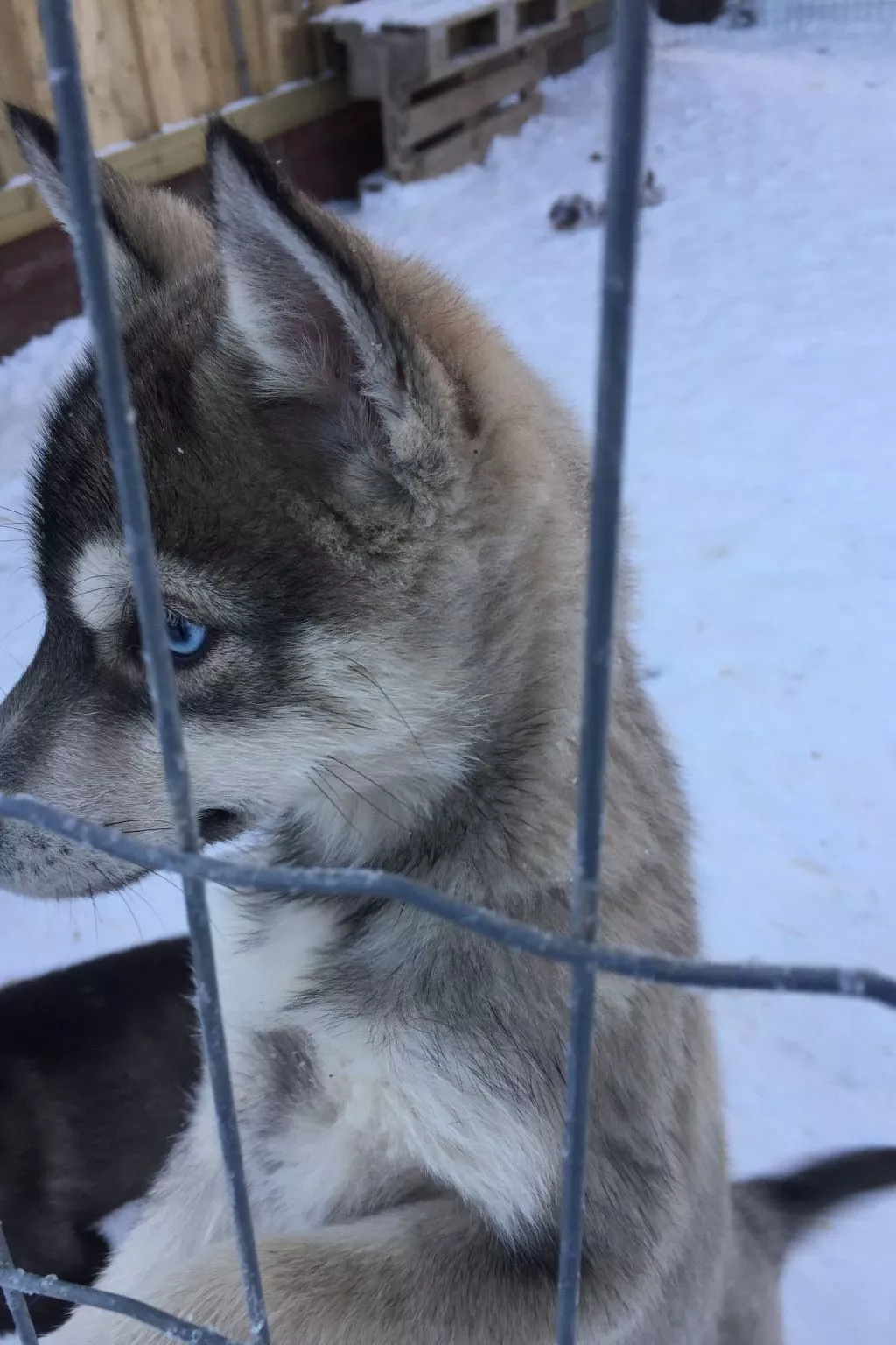 Villa Cottage - Image-tags.info