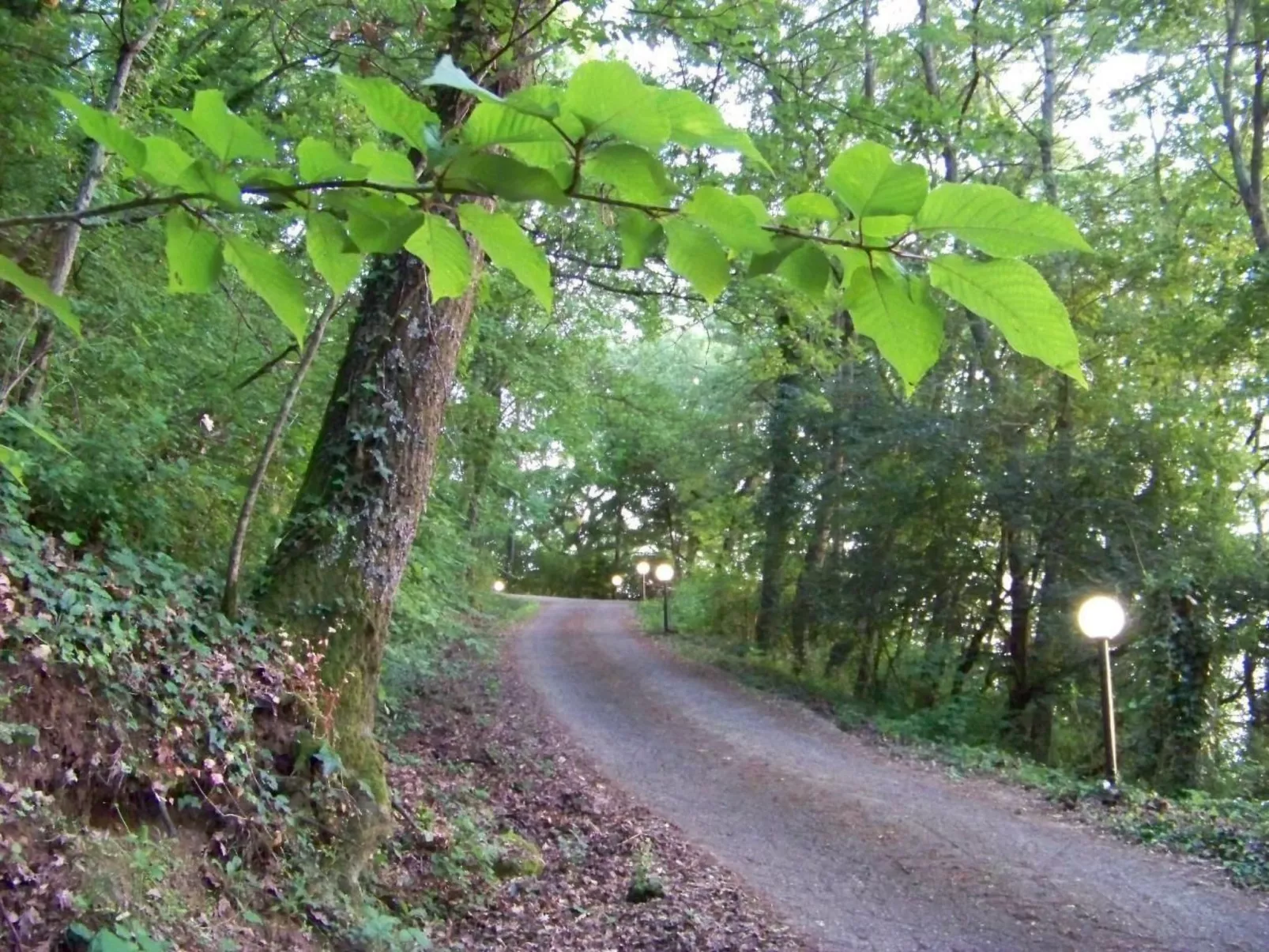 Villa auf dem Seehügel-Buiten
