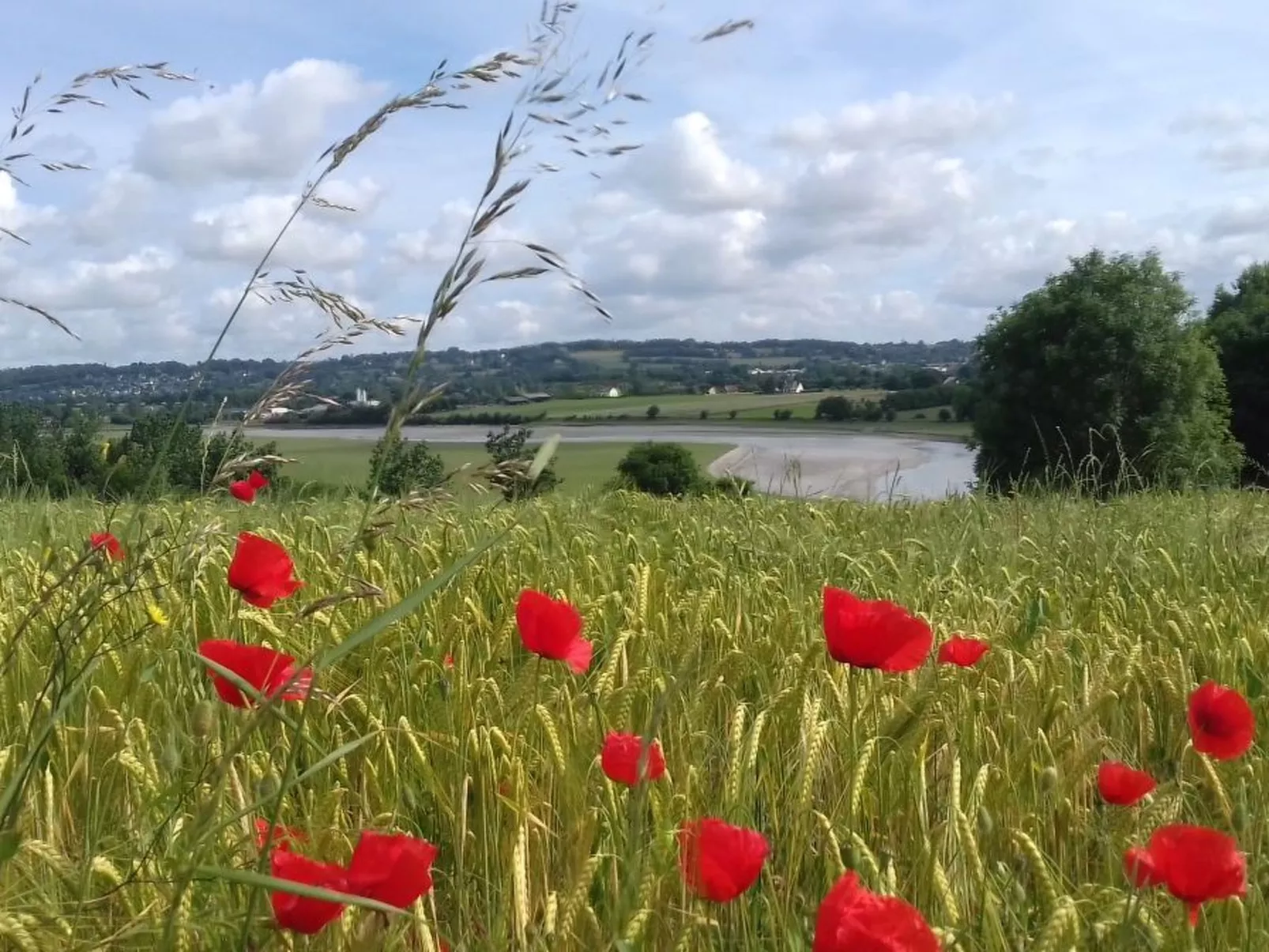 Gite Pamphilienne mit Blick auf Mont Saint Michel-Buiten