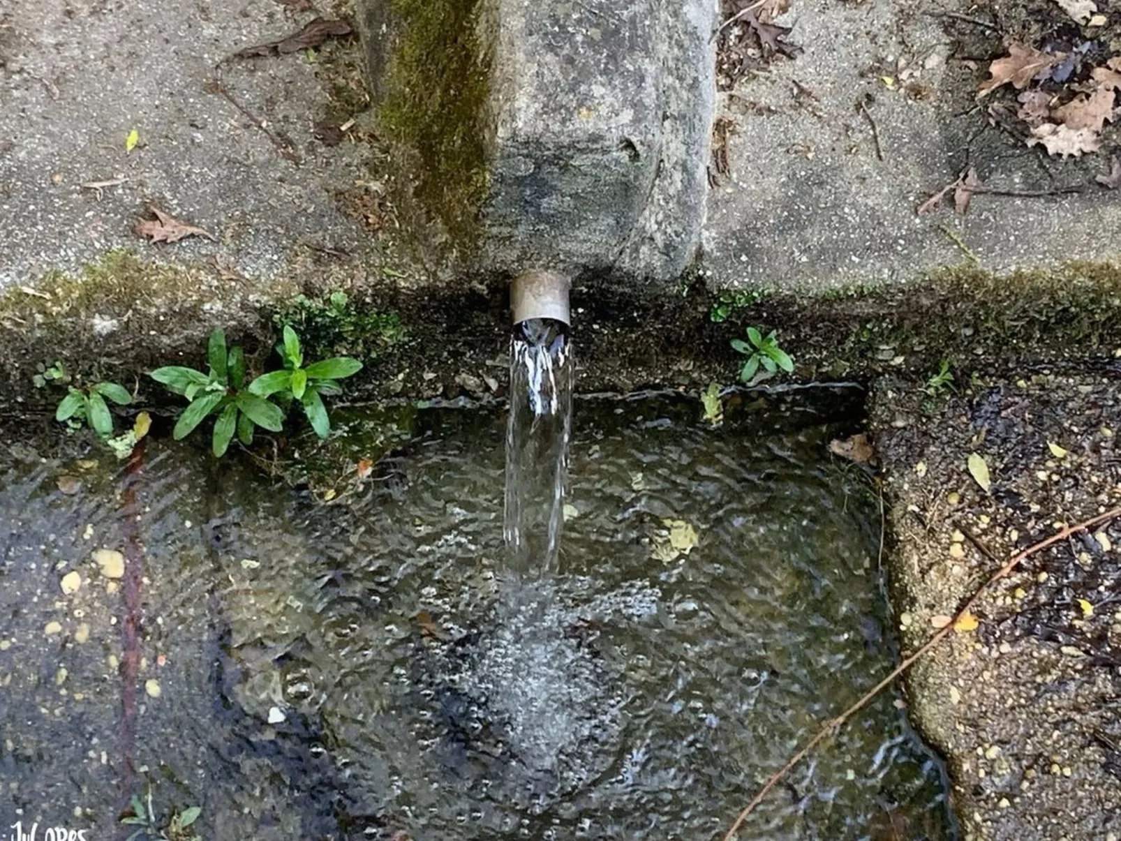Das Haus Bairrada mit freier Garage-Buiten