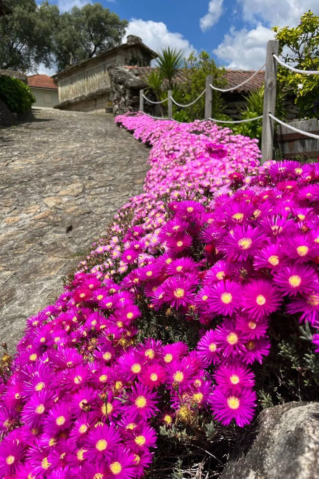 Casas das Olas 5 - Großartige Aussicht, 2 Pools, idealer Ort zum Entspannen und-Buiten