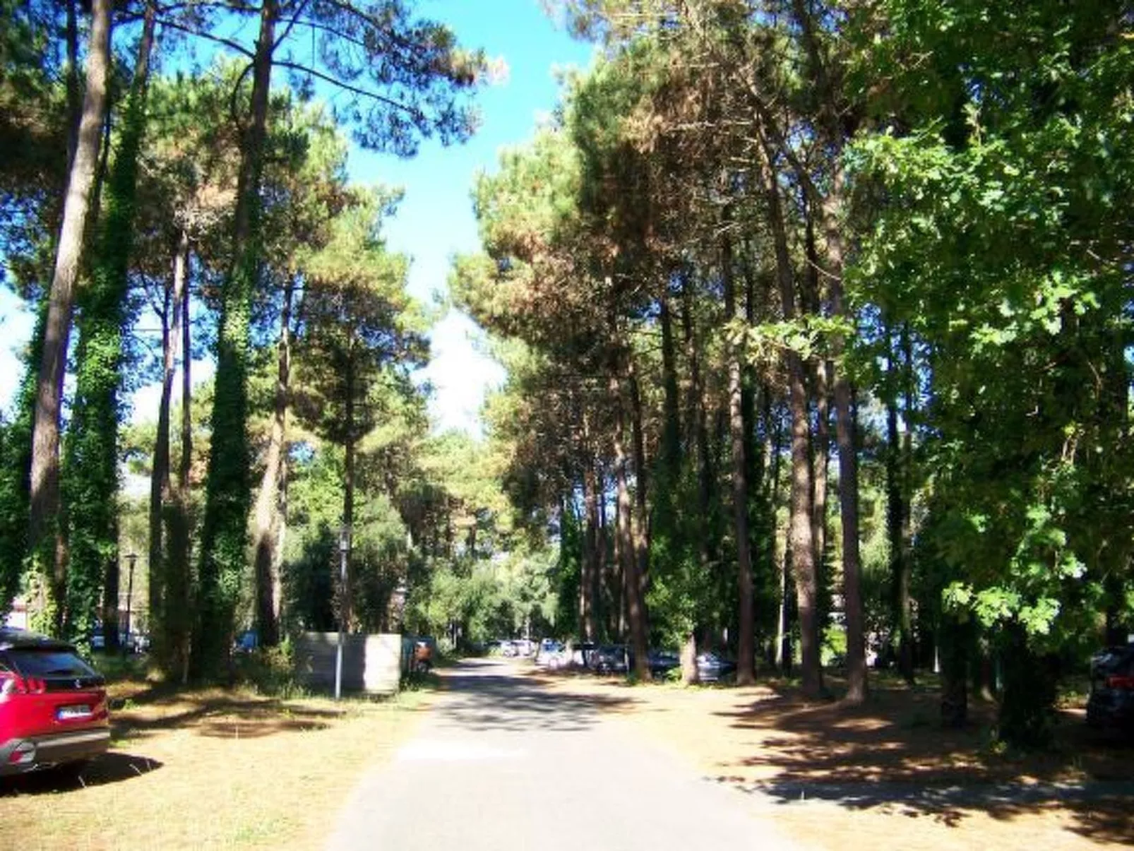 Hübsches kleines Haus in ruhiger Lage in einer baumbestandenen Residenz mit beh-Buiten