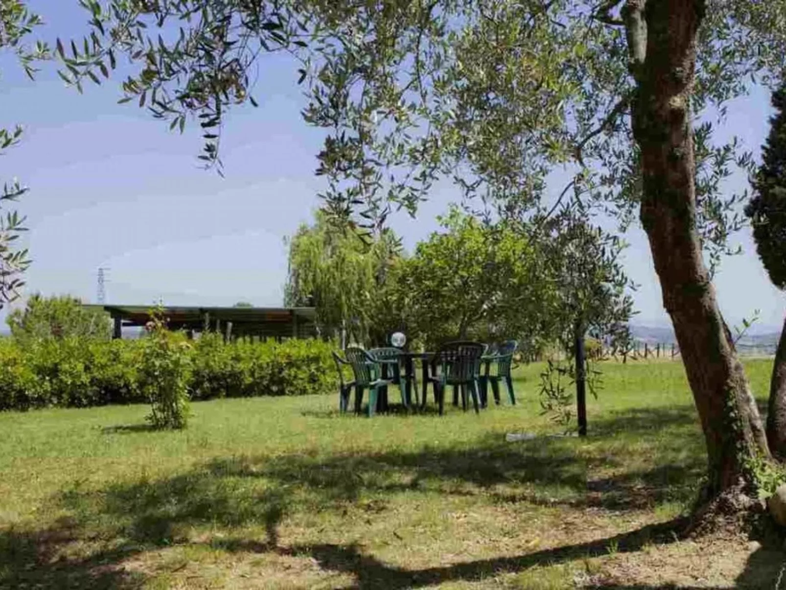 "Ciclamini capponi-Buiten