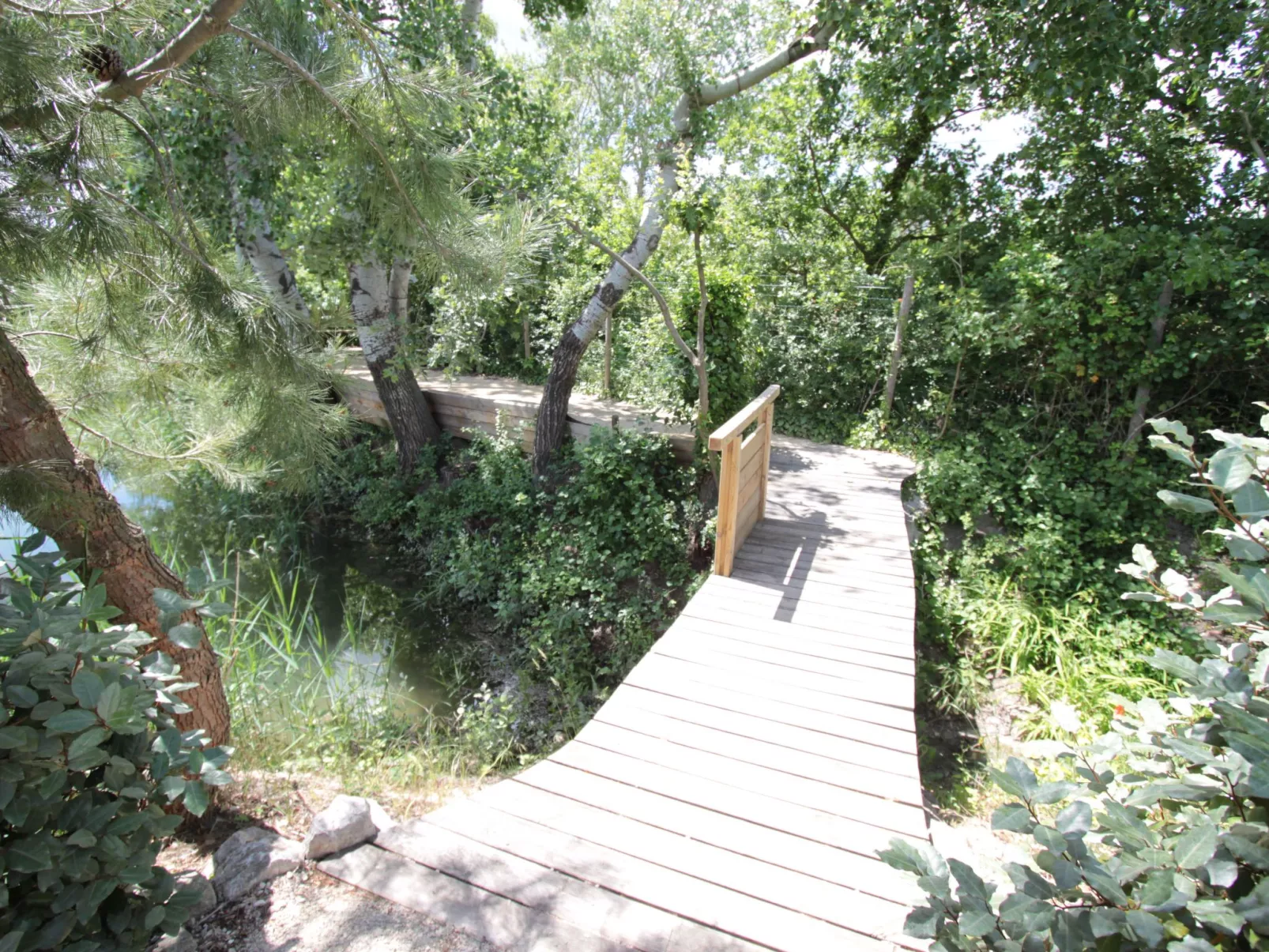 Die Gîtes de Bel-Air im Luberon in der Provence-Buiten