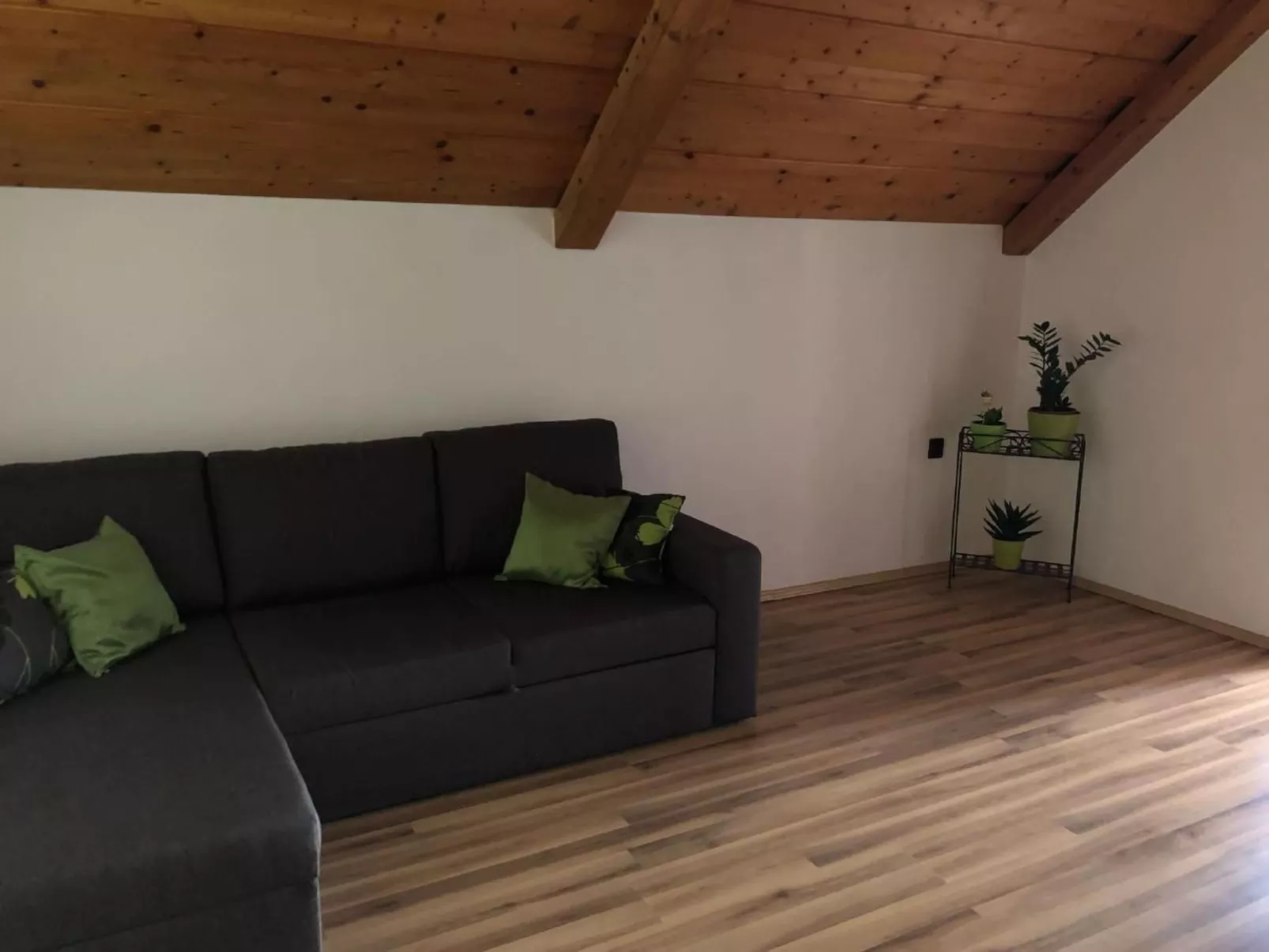 FO-18-Image-tags.info