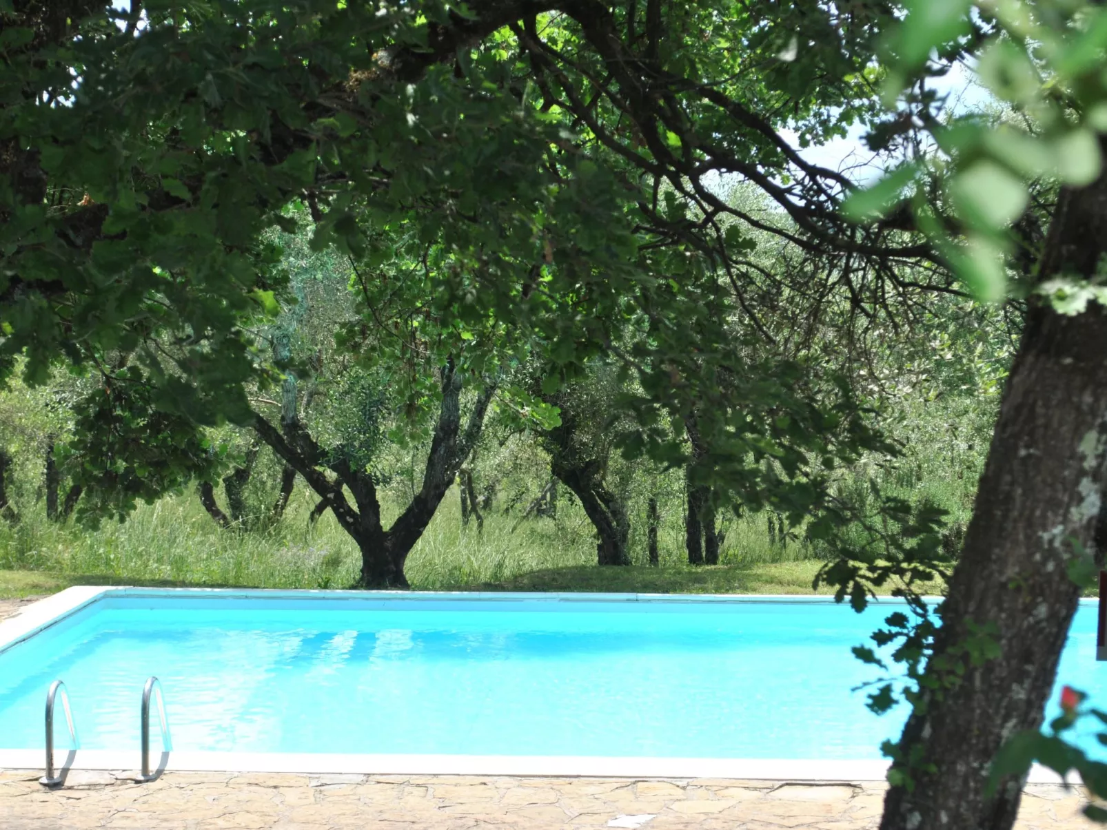 Wohnung mit Garten in Barberino Tavarnelle-Image-tags.info