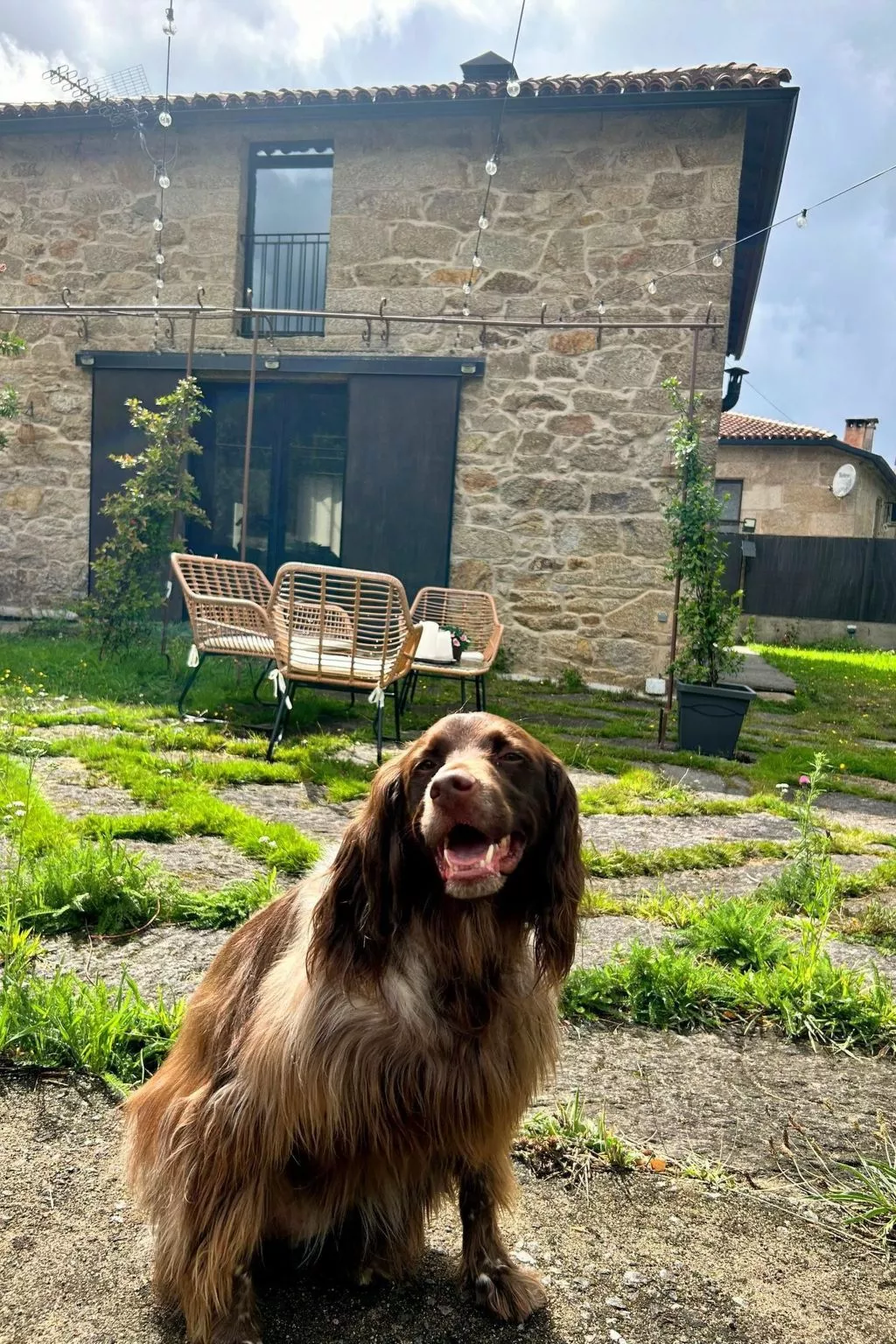 "Galicia Retreat-Image-tags.info