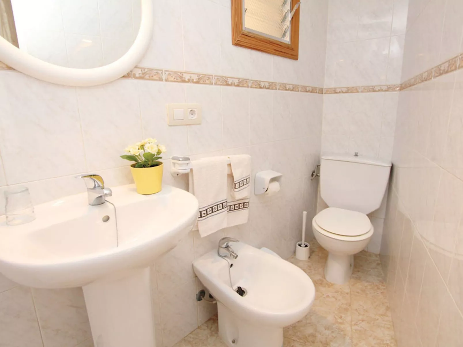 Ribot-Image-tags.info