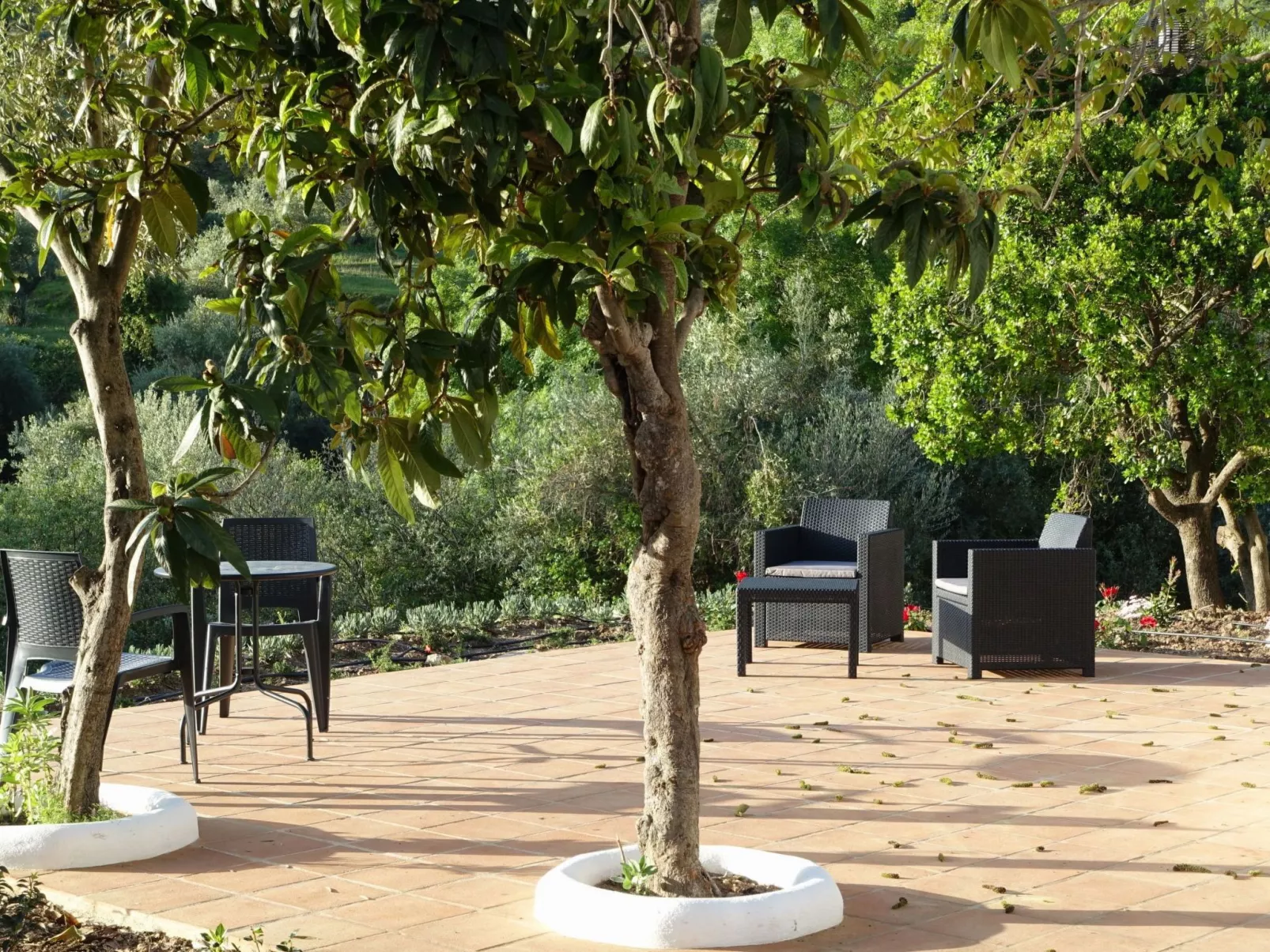 Gemütliches Landhaus Betania in Grazalema-Buiten